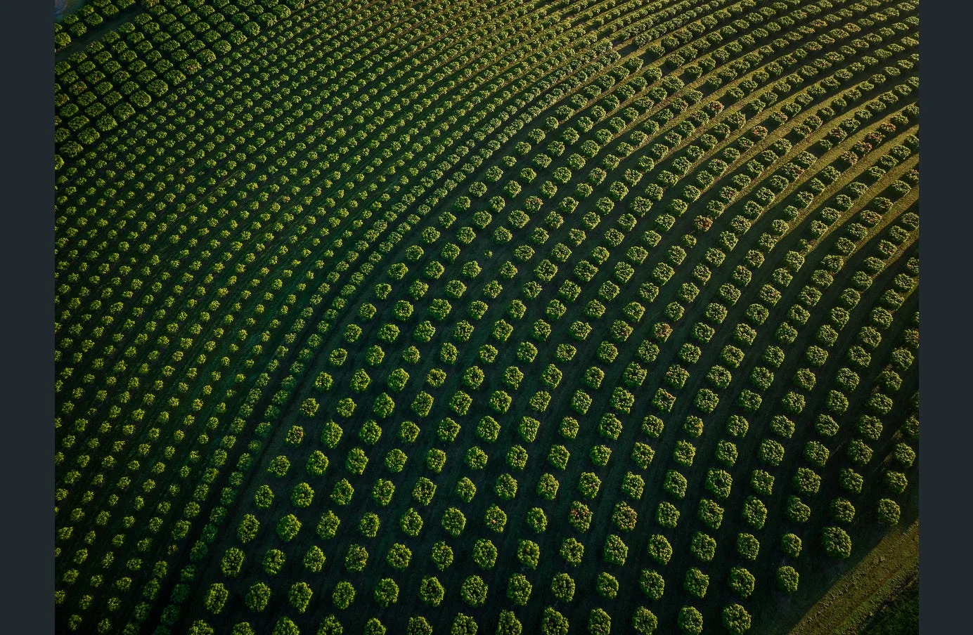 Additional image 11 of 85 Schincariol Road, Dimbulah QLD 4872