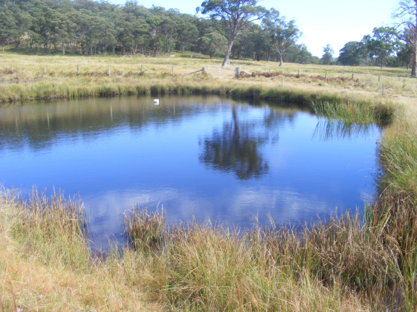 Additional image 10 of 618 Coopers Road, Red Range NSW 2370