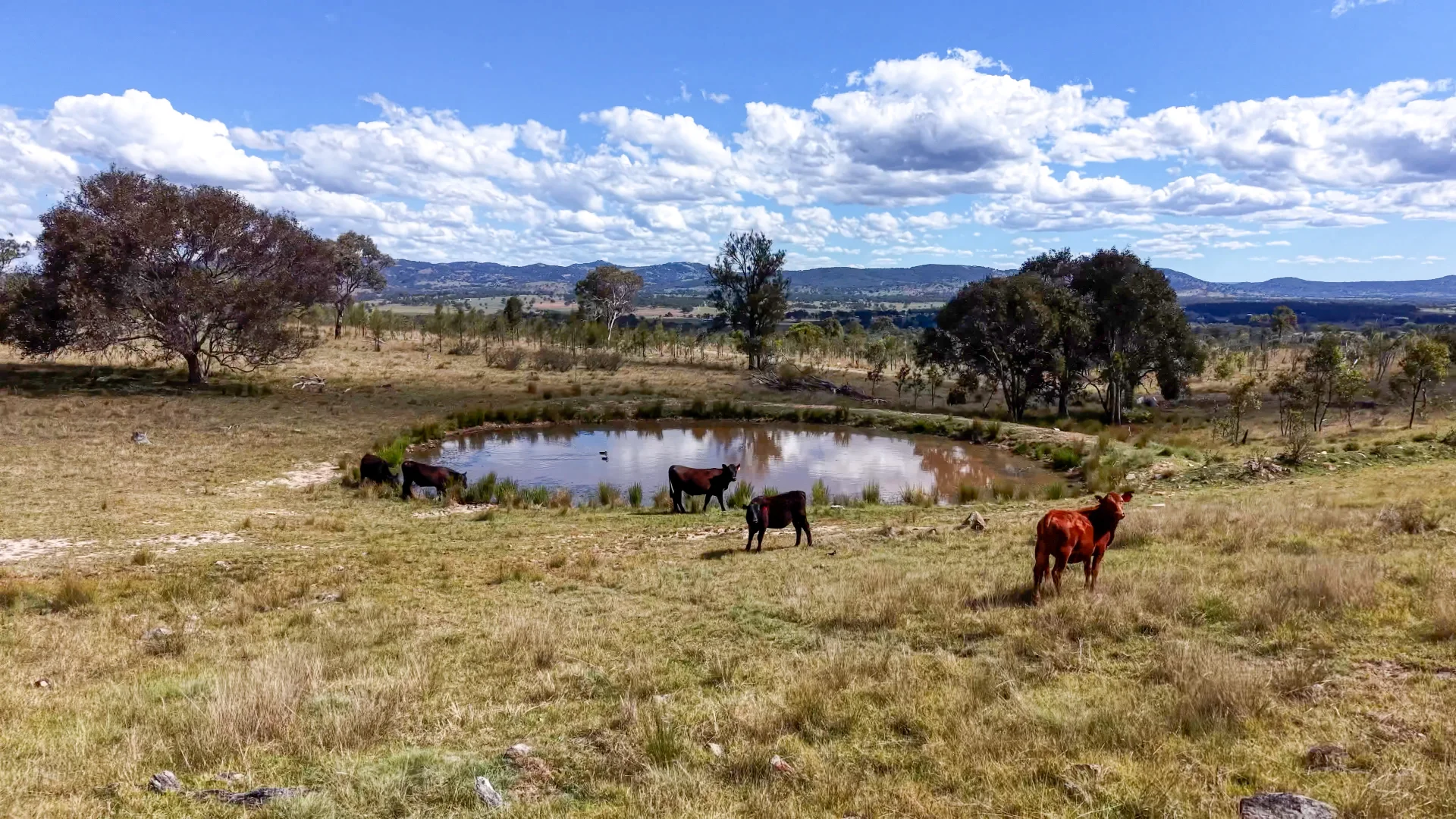 Additional image 4 of Lot 570 Tarban Road, Tenterfield NSW 2372