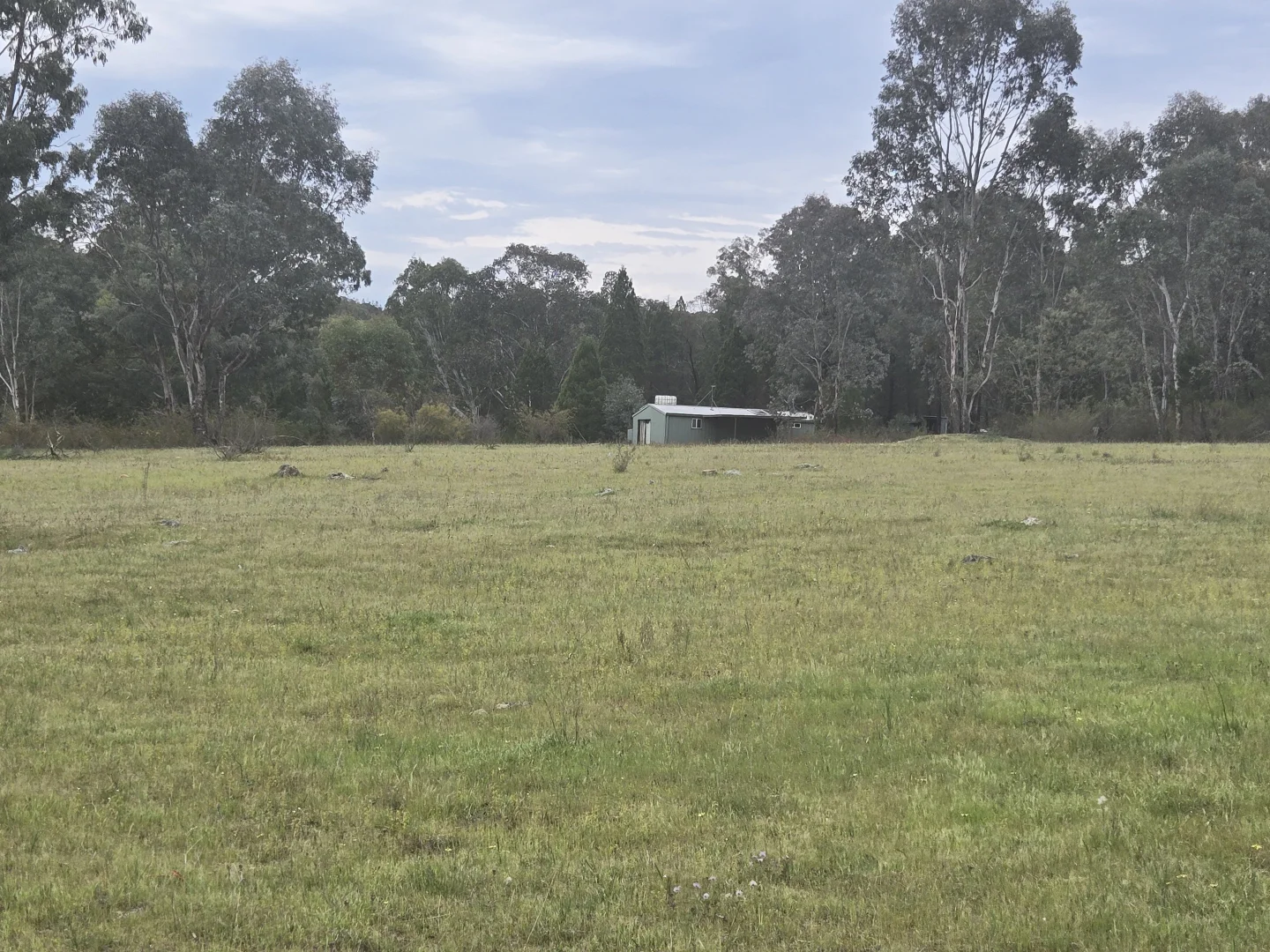 Additional image 4 of 1657 Kangarooby Road, Gooloogong NSW 2805
