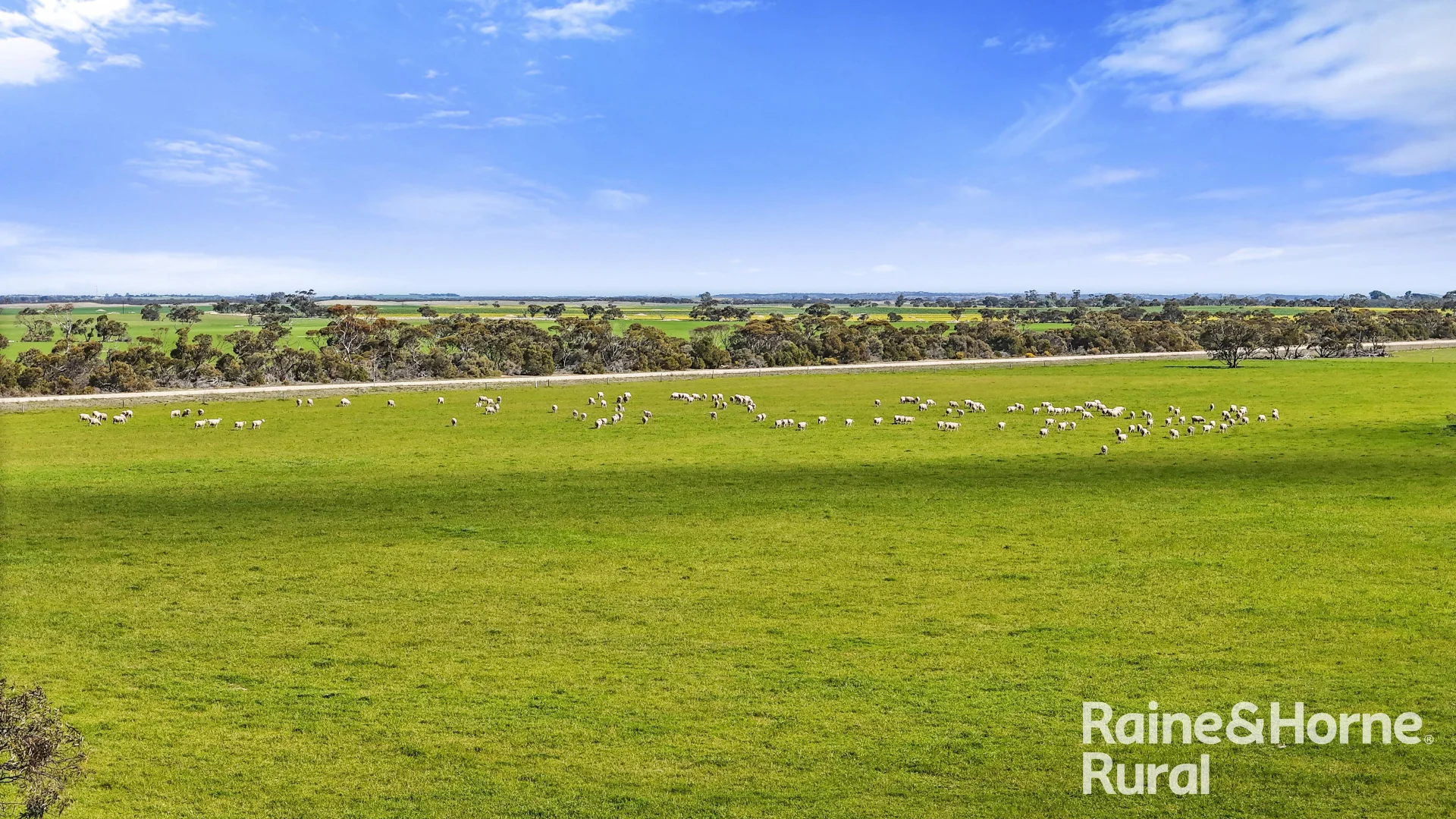 Additional image 31 of 378 Jones Road, Yumali SA 5261