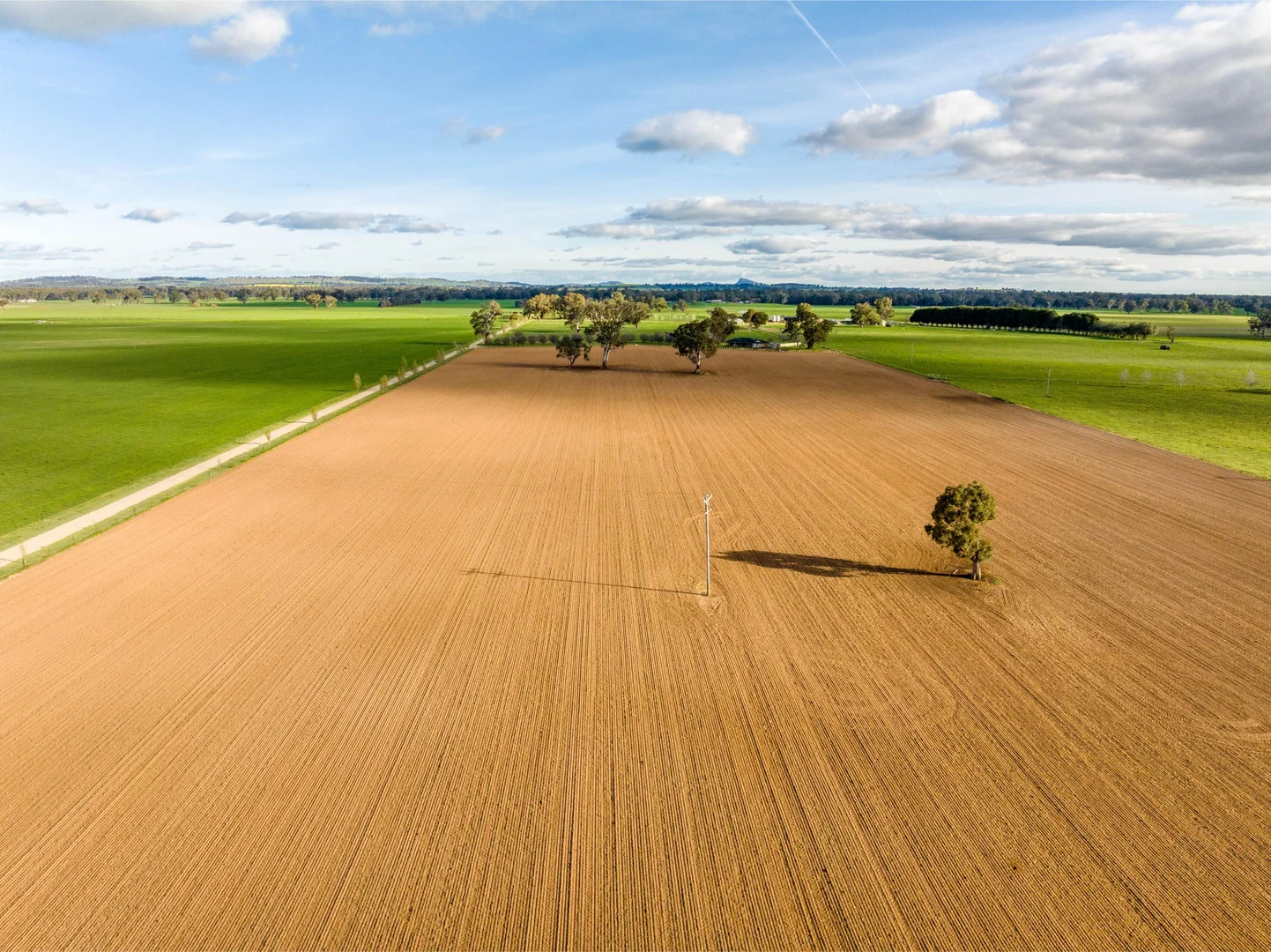Additional image 13 of 1871 Old Narrandera Road, Euberta NSW 2650