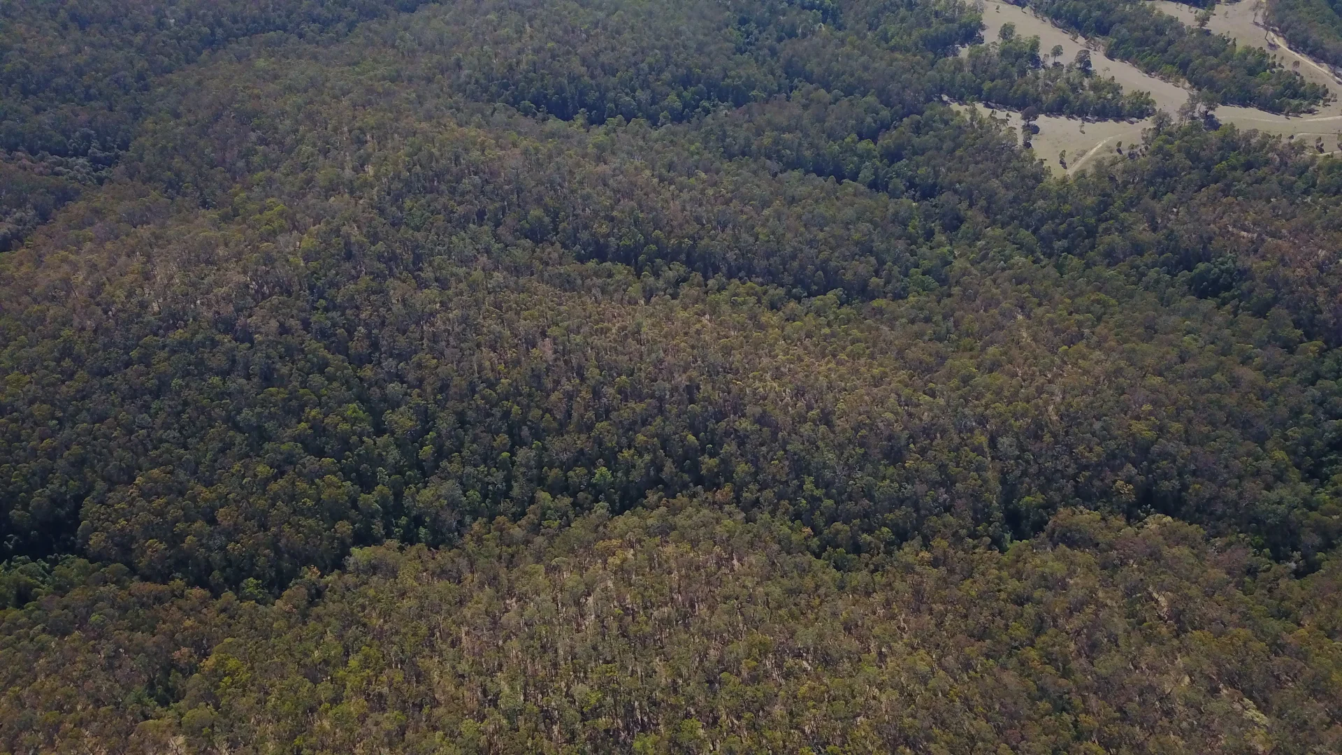 Additional image 12 of 702 Comboyne Road, Byabarra NSW 2446