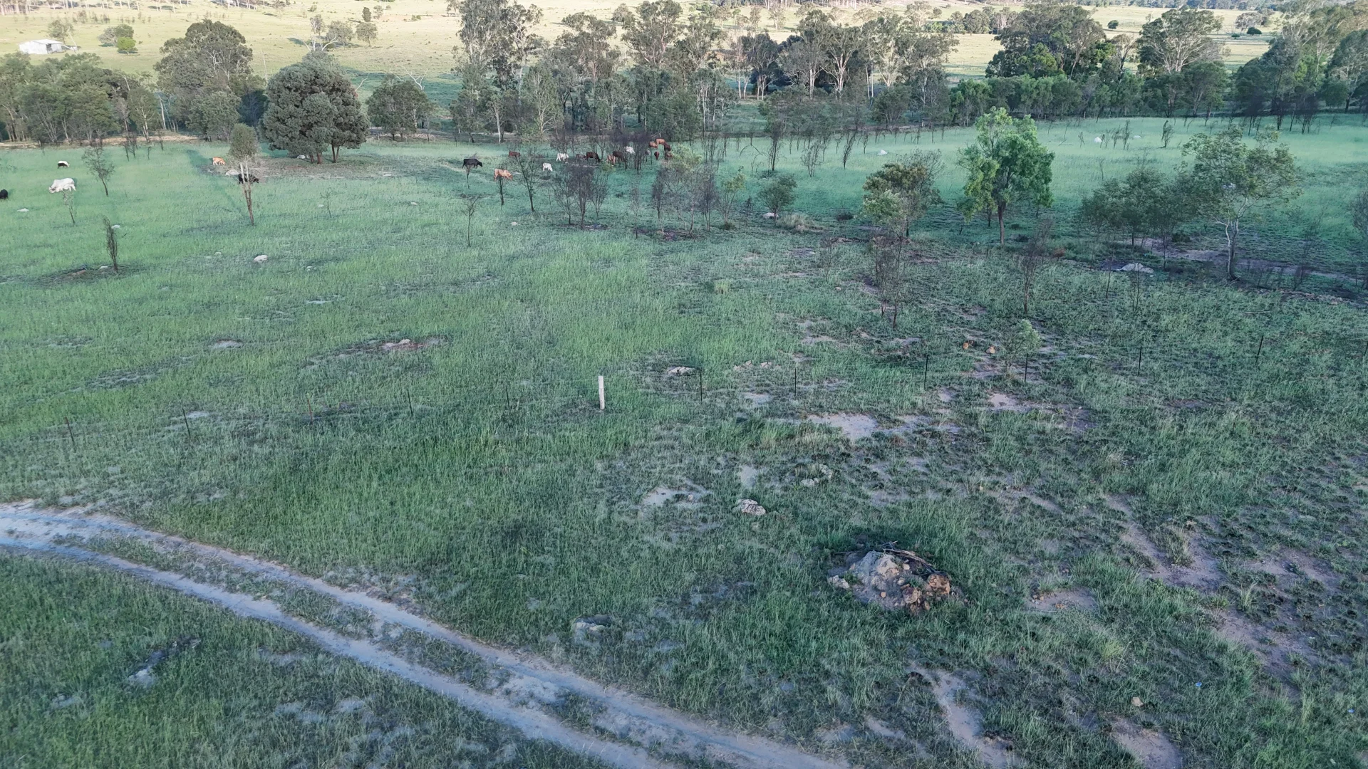 Additional image 13 of 24754 Burnett Highway, Ceratodus QLD 4627