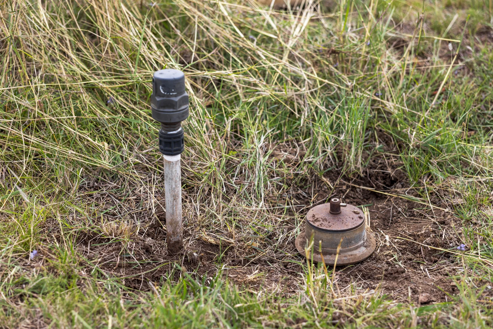 Additional image 6 of 2351 Toowoomba Cecil Plains Road, Aubigny QLD 4401