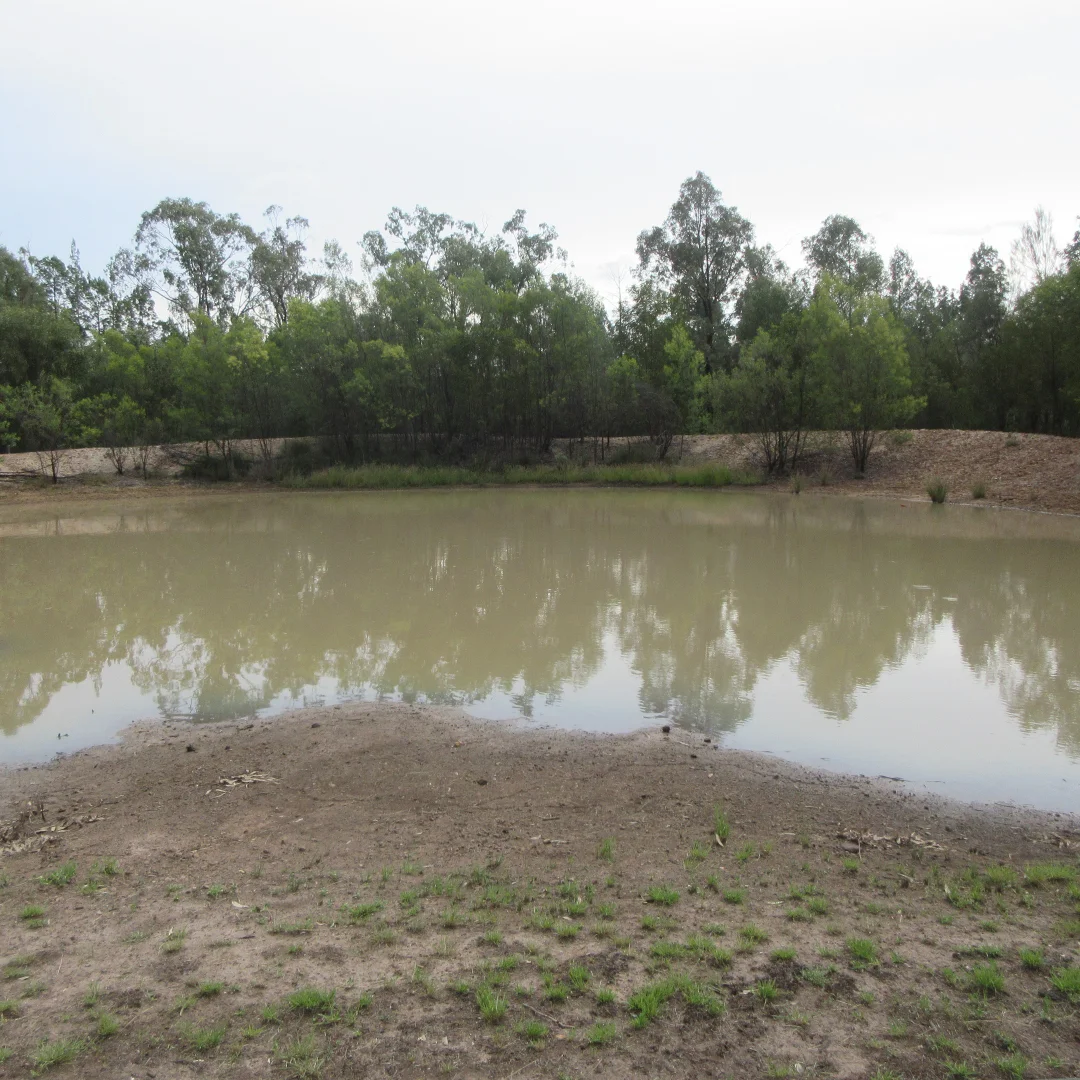 Additional image 2 of Tara QLD 4421