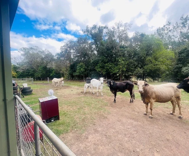 248 Middle Creek Road, Sarina QLD 4737