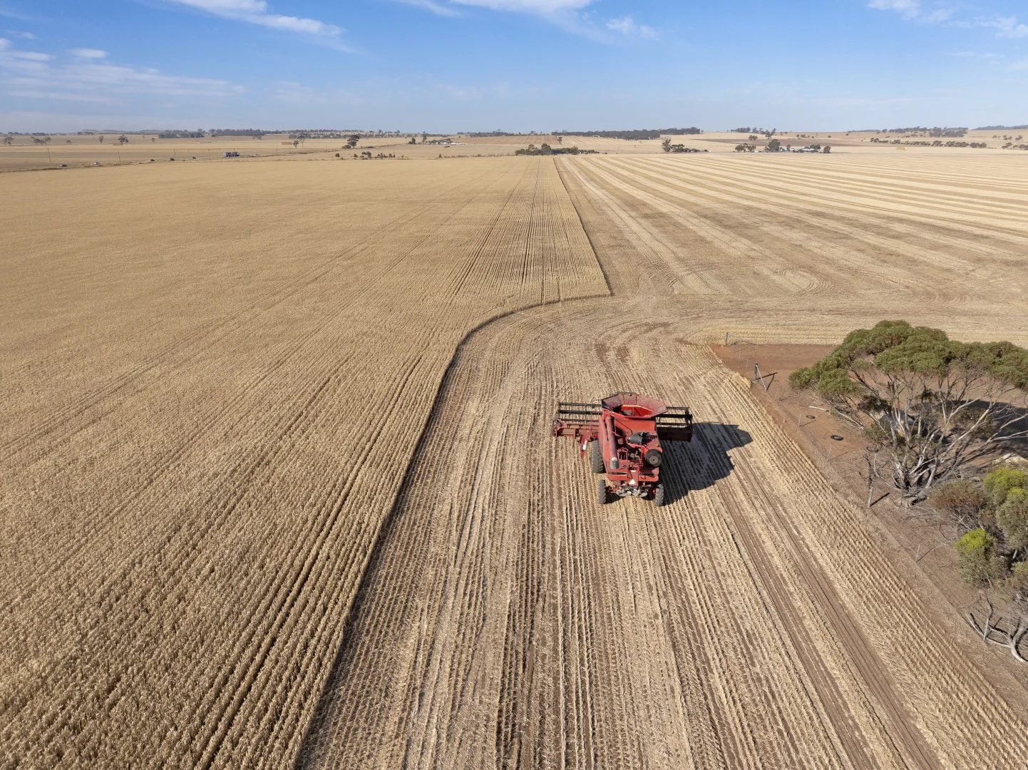 Additional image 27 of 'Leske Farm' Thiele Highway, Freeling SA 5372