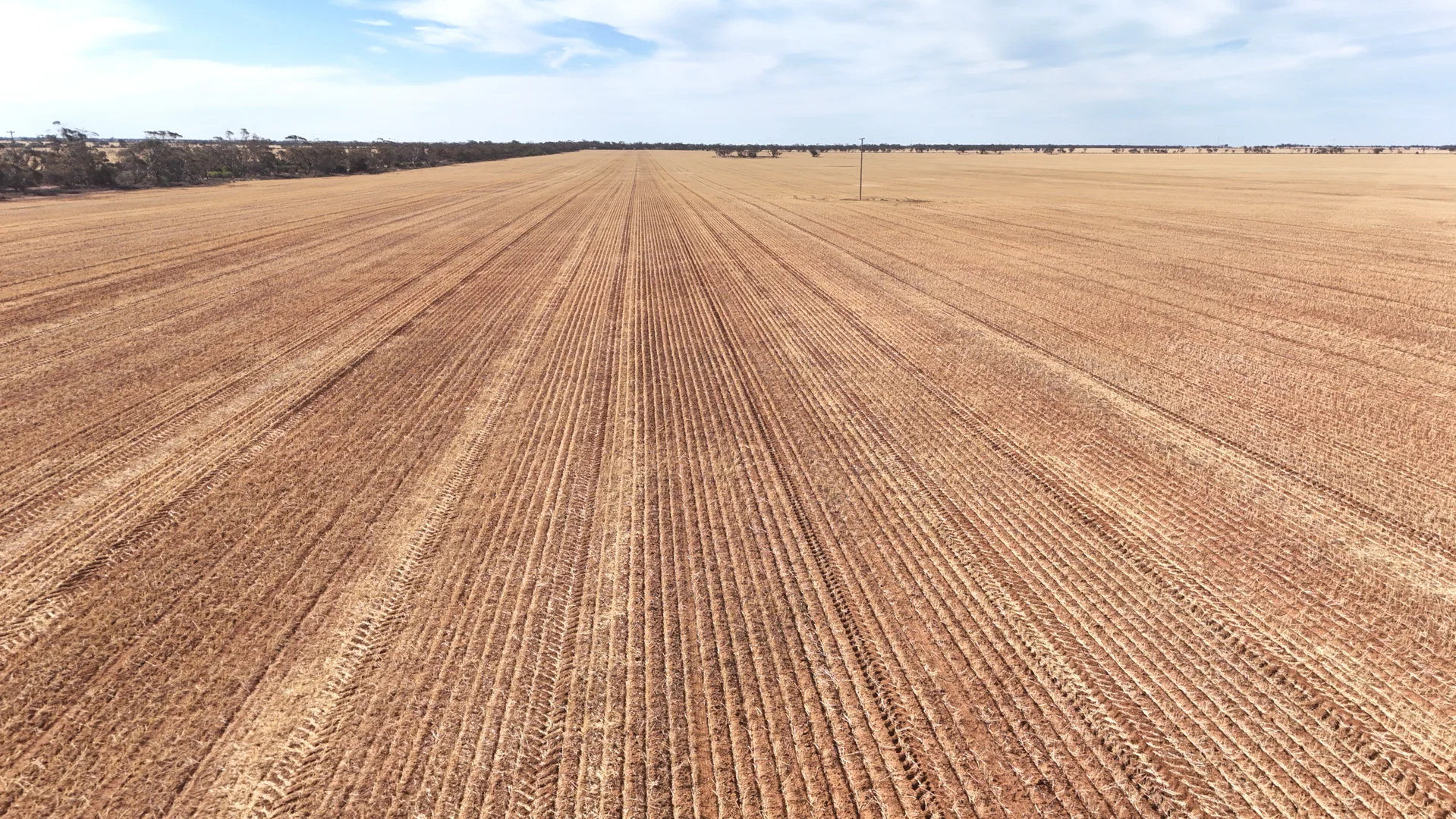 Additional image 18 of 'Anglea & Ryan Lots' 434 Robinvale-Sea Lake Road, Chinkapook VIC 3546