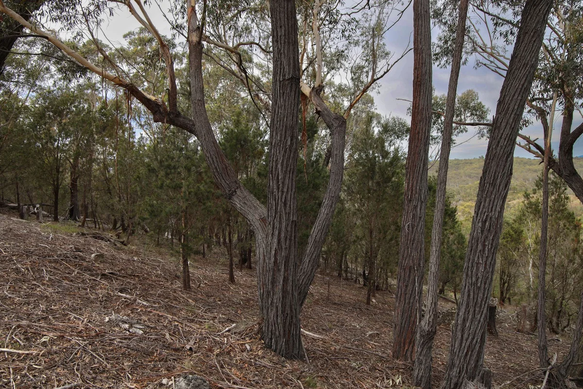 Additional image 6 of 1887 Oallen Ford Road, Oallen NSW 2622