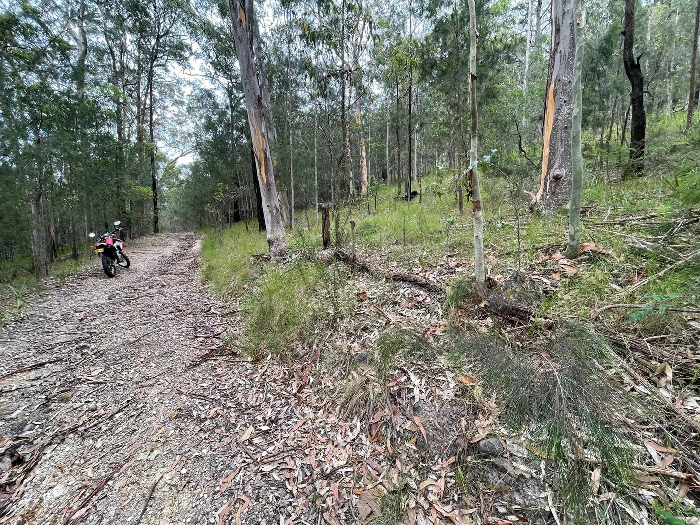 Additional image 2 of Lot 761 Tenterfield Road, North Arm Cove NSW 2324