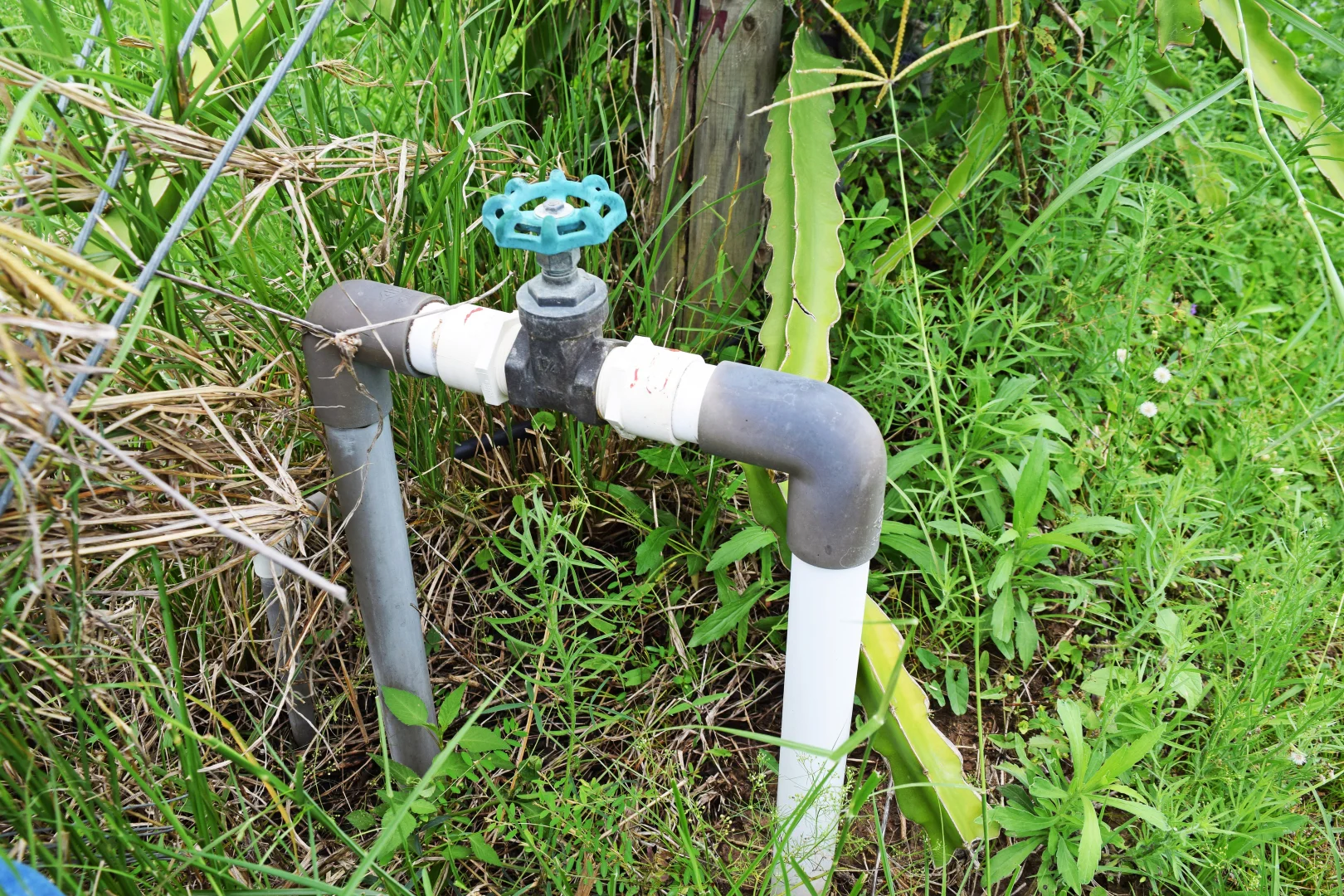 Additional image 16 of 126/288 Blowers Road, Munna Creek QLD 4570