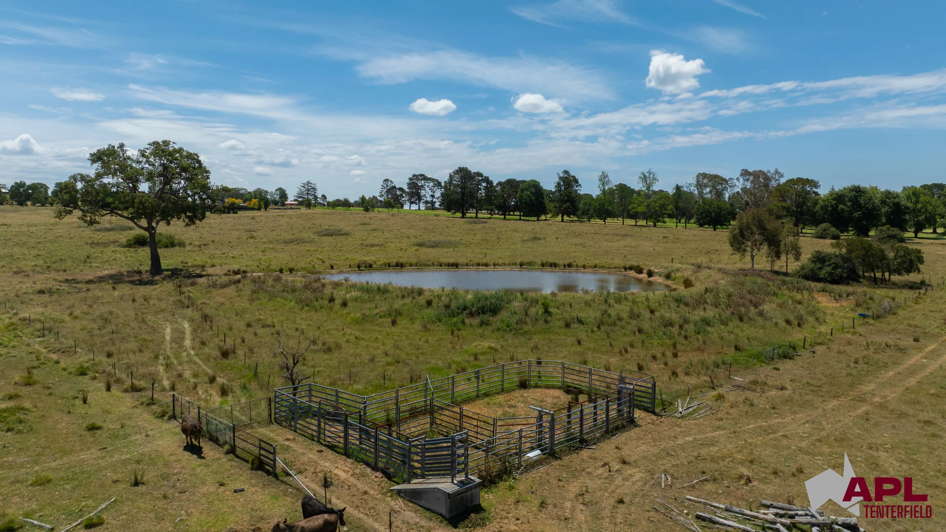 Additional image 9 of 210 Pelham Street, Tenterfield NSW 2372