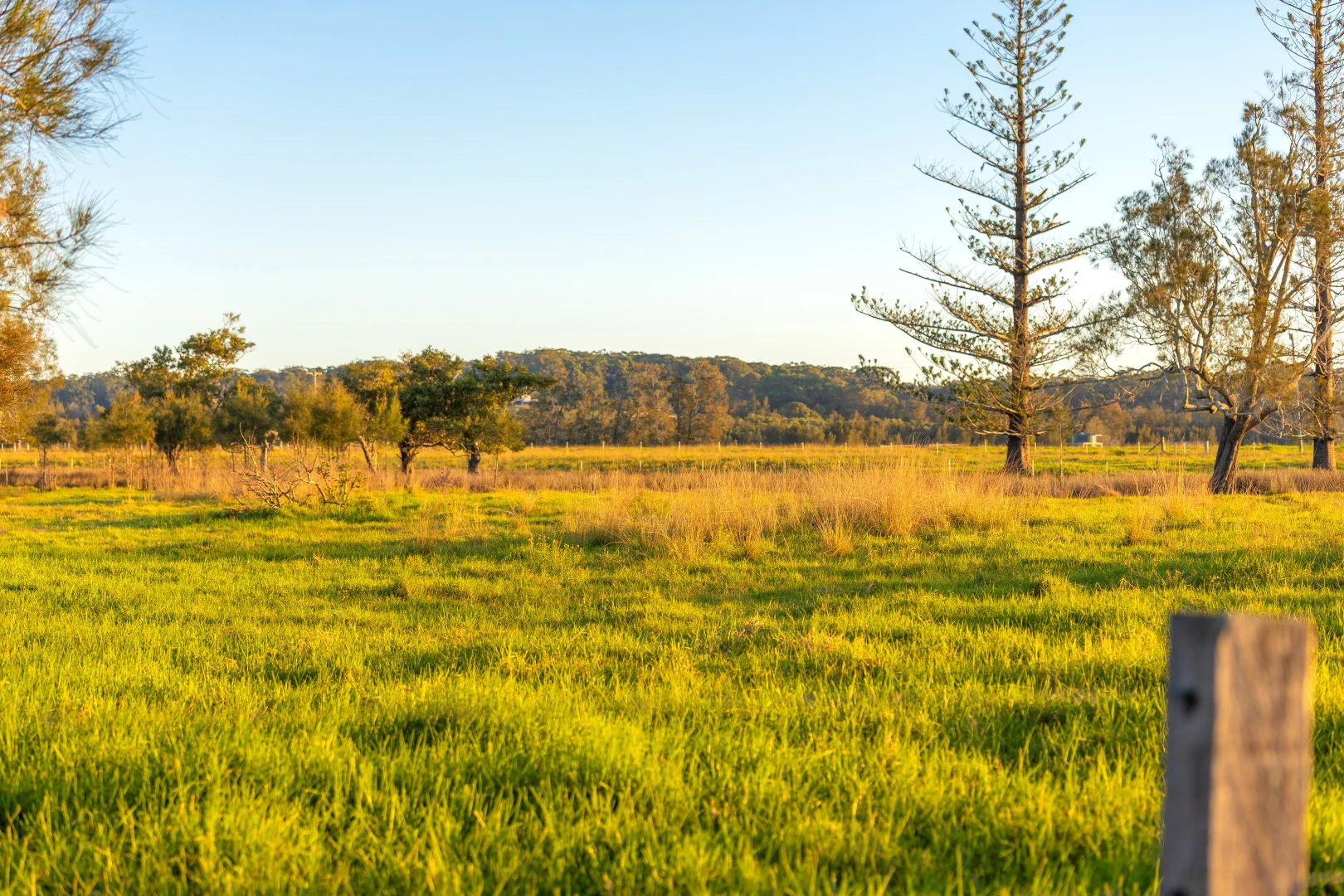Additional image 7 of 67 Pelican Bay Road, Mitchells Island NSW 2430
