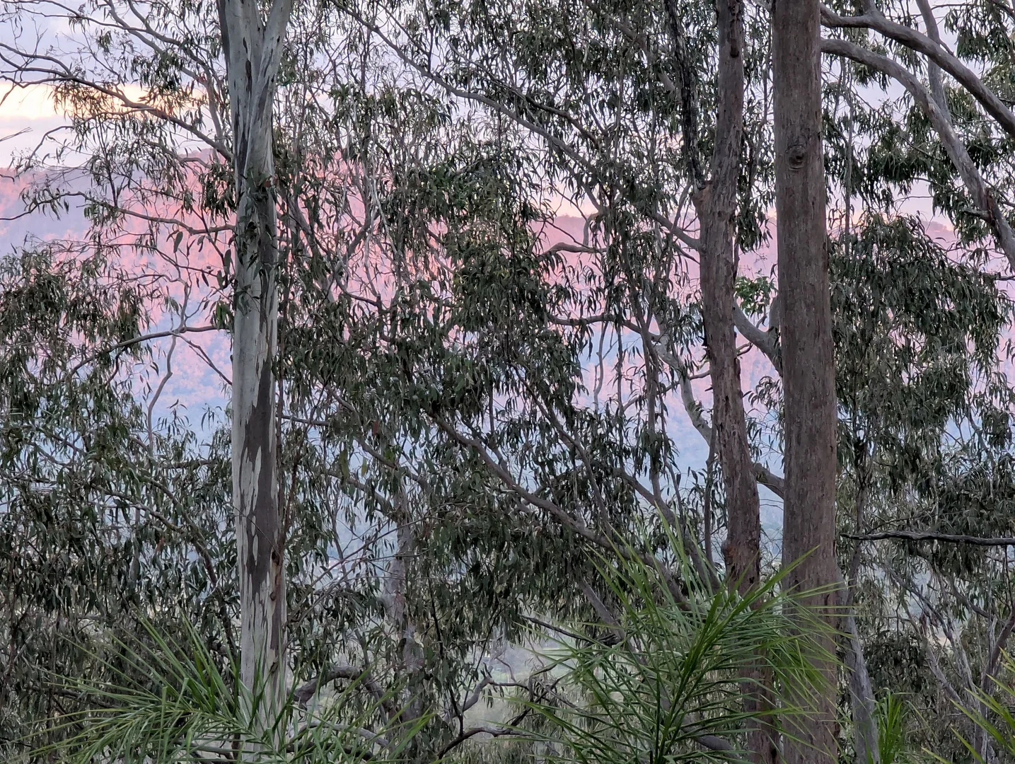 Additional image 28 of 154 Pendennis Road, Tamborine QLD 4270