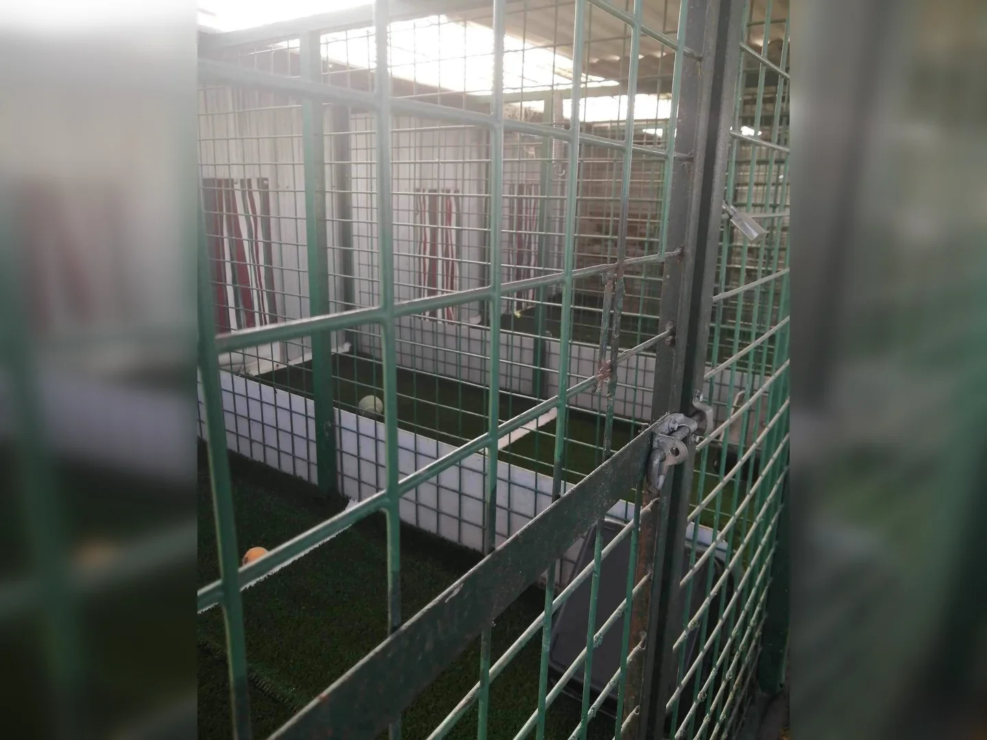 Additional image 27 of 9 Short Street, Deepwater NSW 2371