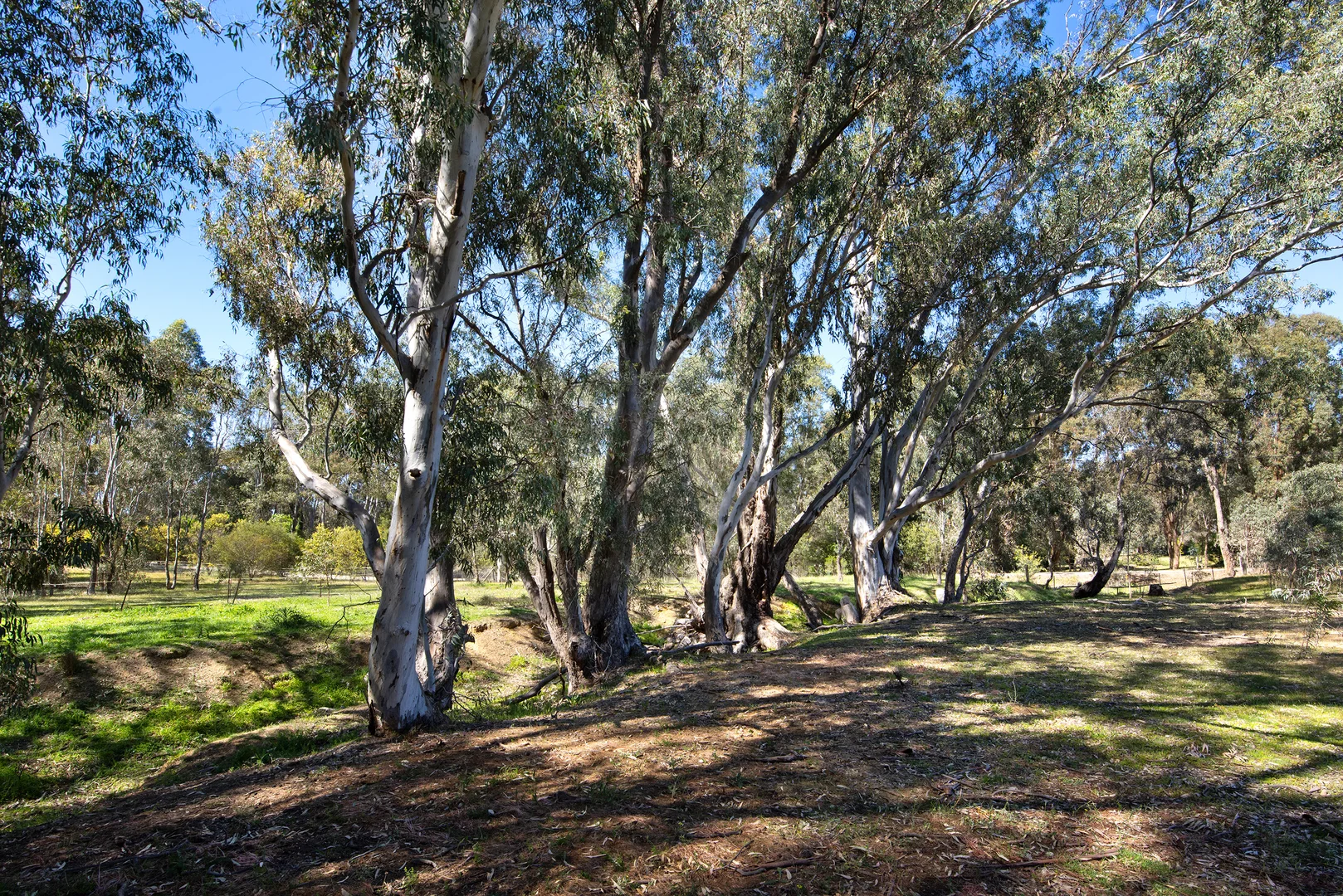 Additional image 17 of 85 Odgers Road, Barkers Creek VIC 3451