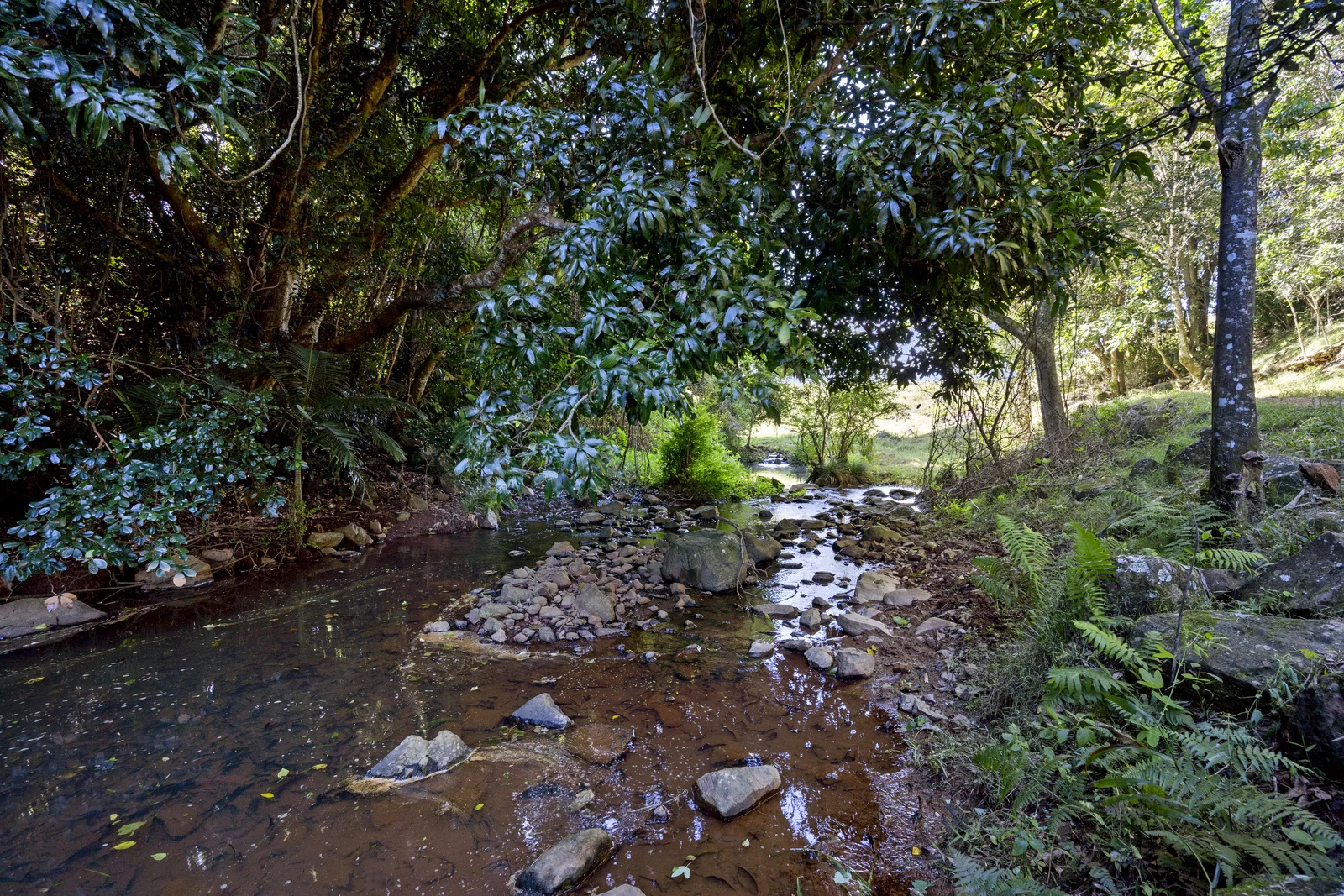 Additional image 5 of 103 Cumbalum Road, Cumbalum NSW 2478