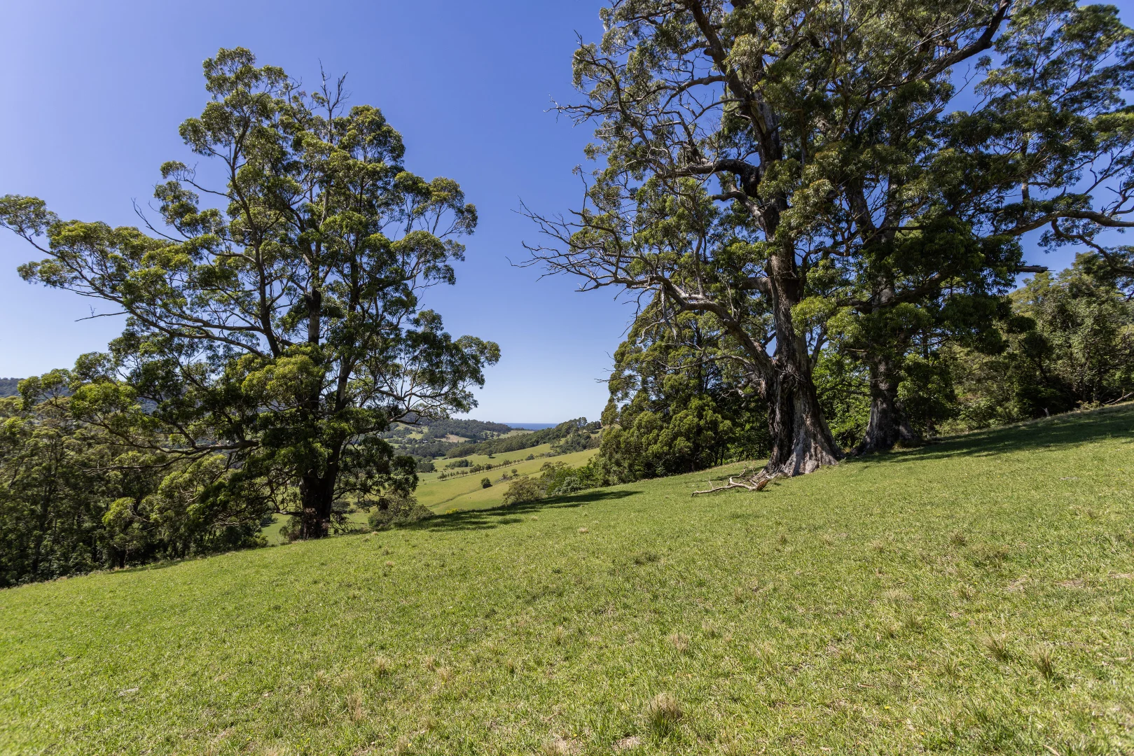 Additional image 21 of 'Franks Farm' Lots 127-129 Free Selectors Road, Foxground NSW 2534