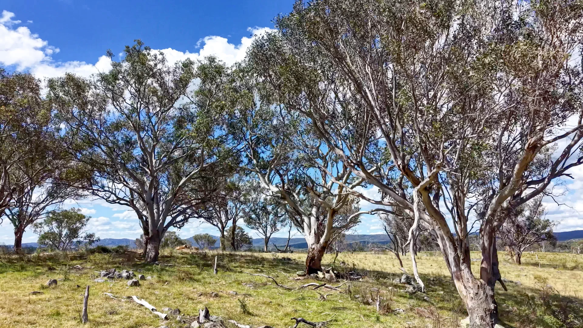 Additional image 13 of Lot 570 Tarban Road, Tenterfield NSW 2372