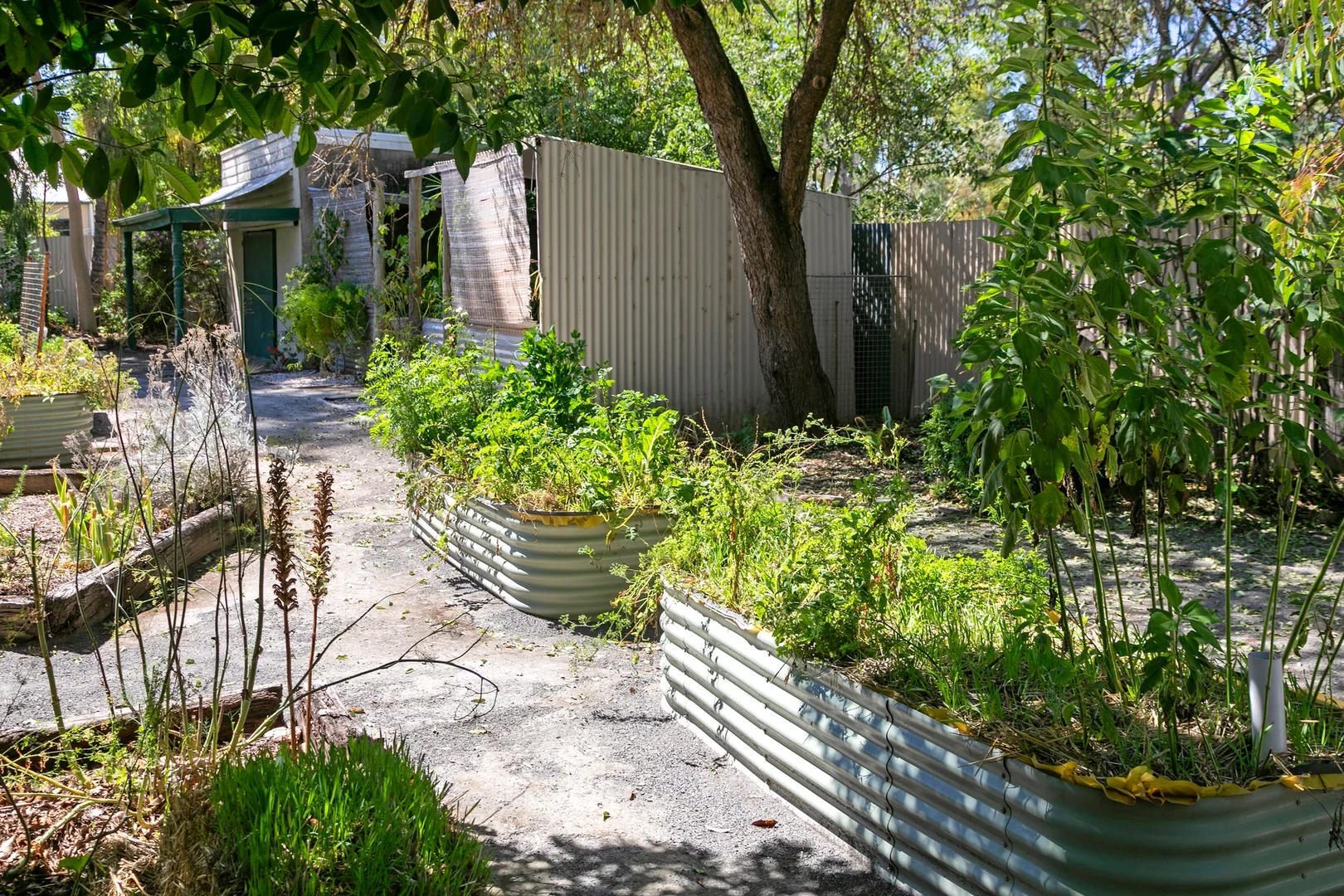 Additional image 39 of 36 Main North Road, Auburn SA 5451