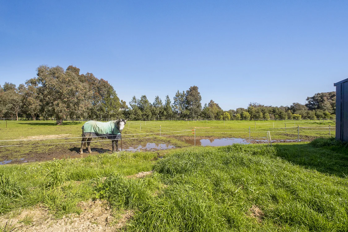 Additional image 9 of 4 Hainge Road, Hamel WA 6215