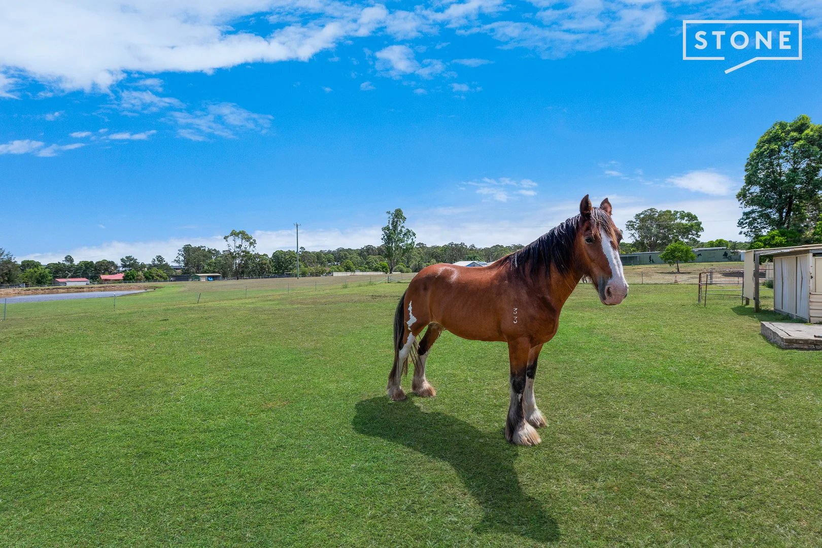 Additional image 11 of 93 McMullins Road, Branxton NSW 2335