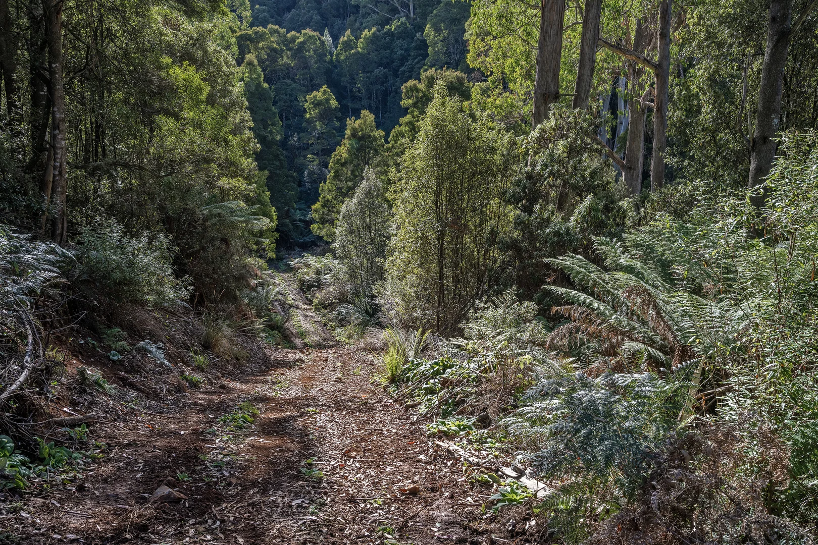 Additional image 11 of Wilmot TAS 7310