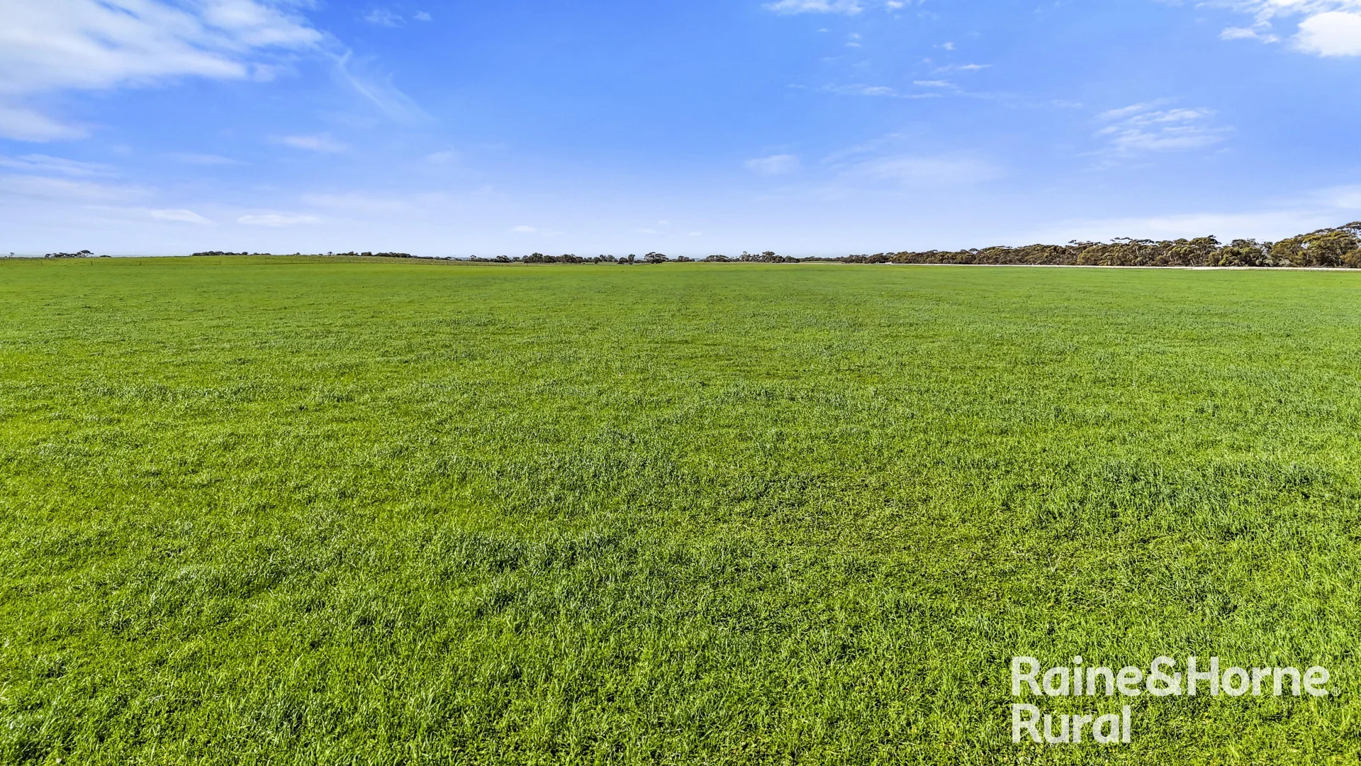 Additional image 6 of 378 Jones Road, Yumali SA 5261