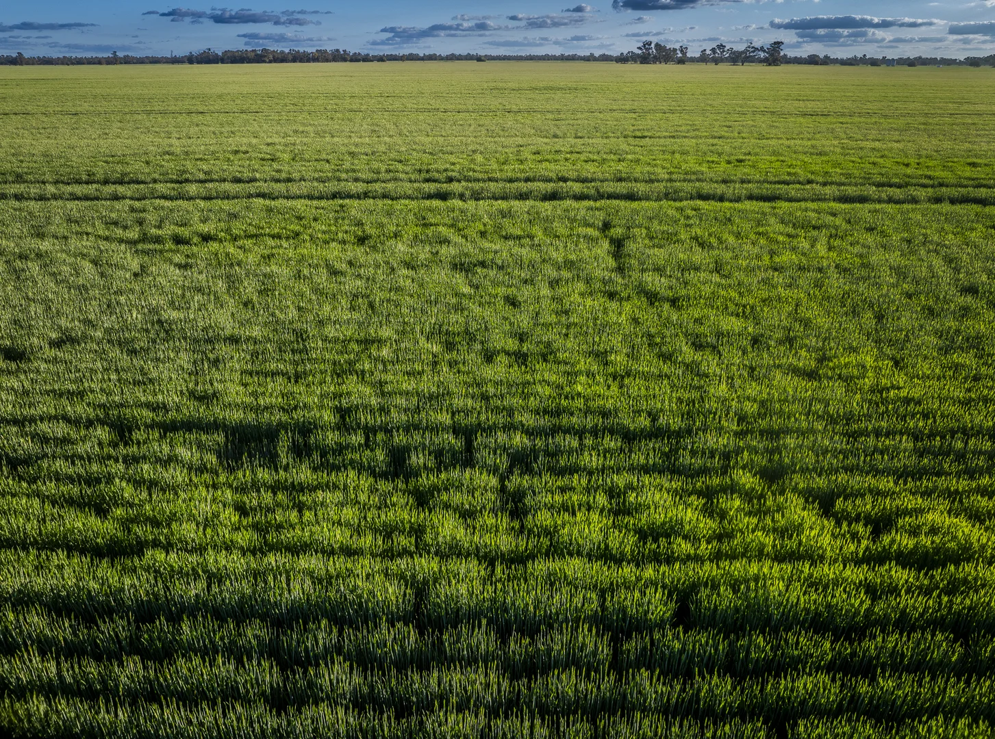 Additional image 5 of Bourbah 2598 Warren Road, Gulargambone NSW 2828