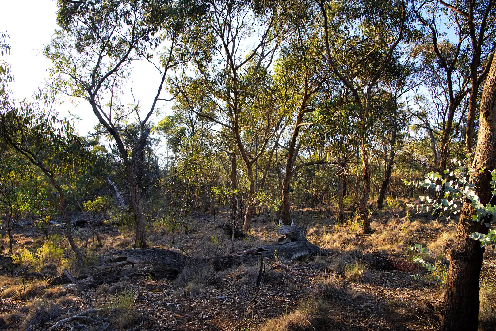 Additional image 23 of 93 Kooyea Lane, Strangways VIC 3461