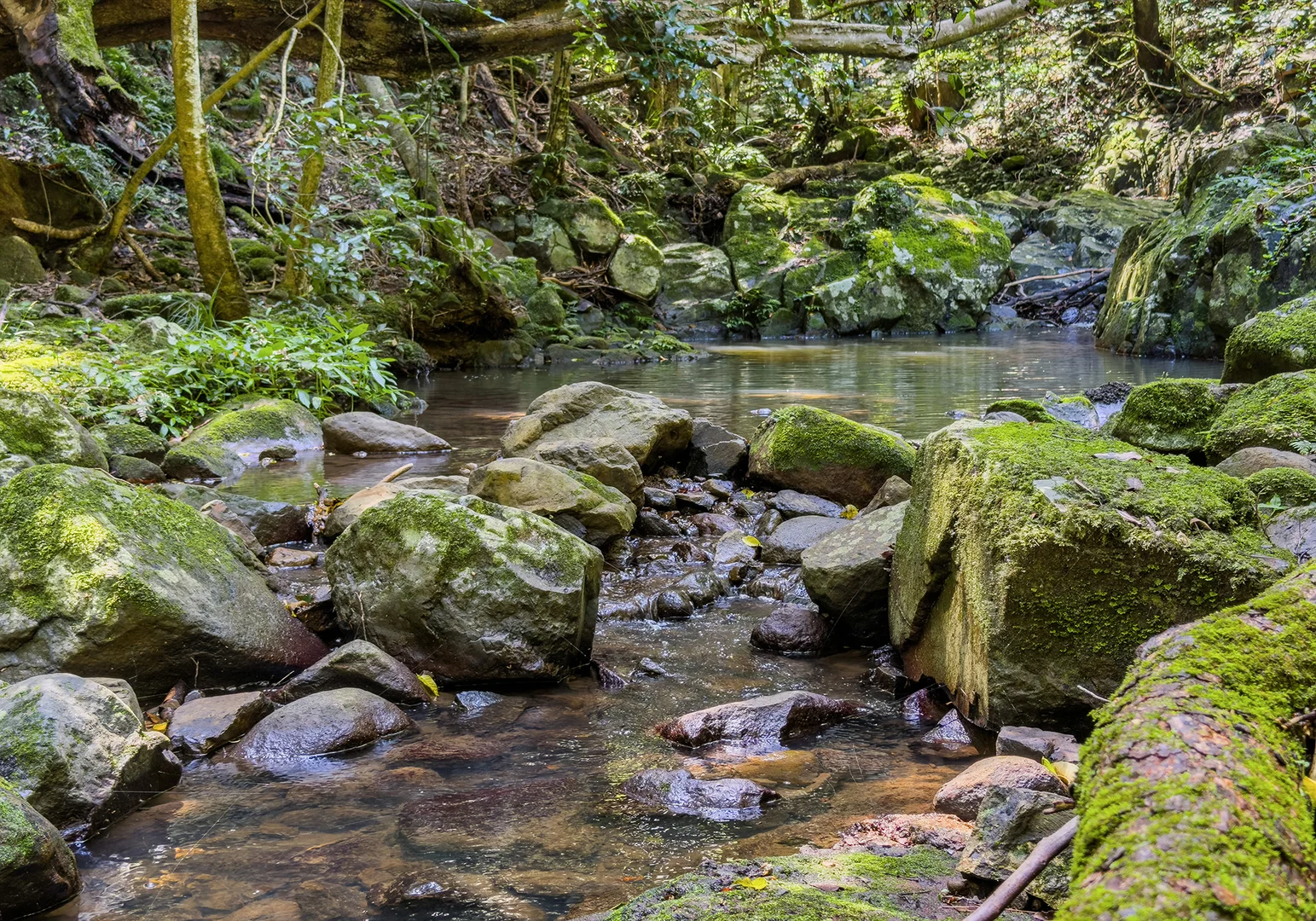 Additional image 9 of 332 Foxground Road, Foxground NSW 2534