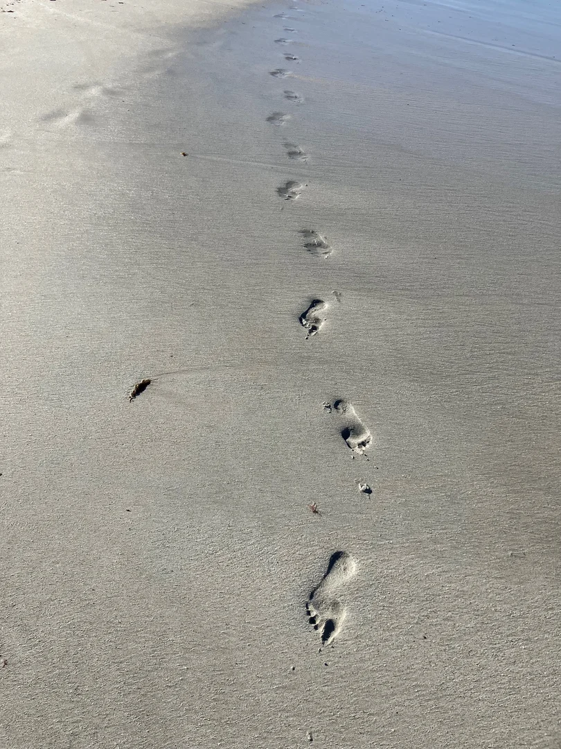 Additional image 30 of 18 Mitchell Street, Horrocks WA 6535