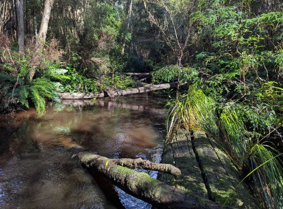 Additional image 13 of Strathblane TAS 7109