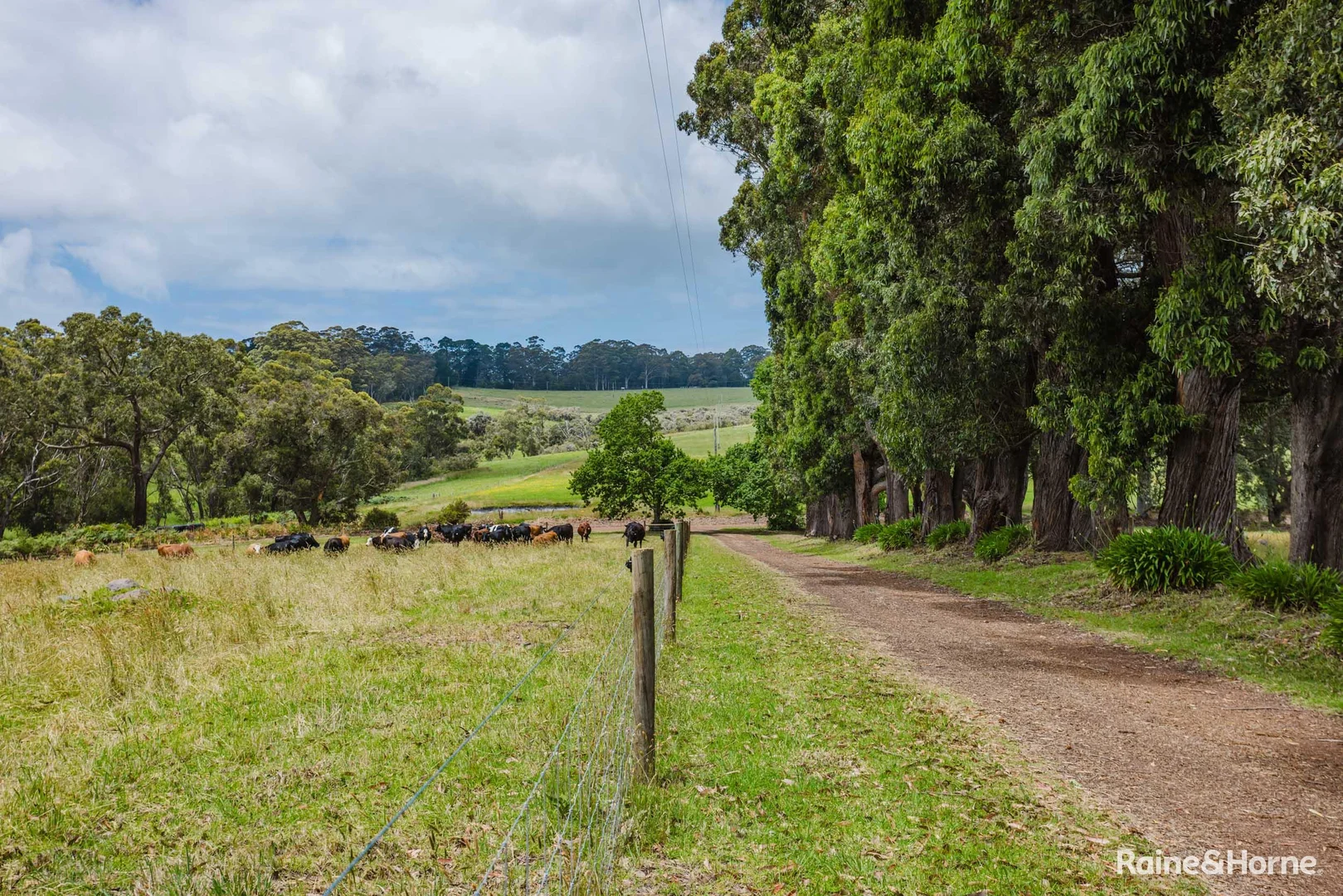 Additional image 27 of 198 Glenrowan Road, Scotsdale WA 6333