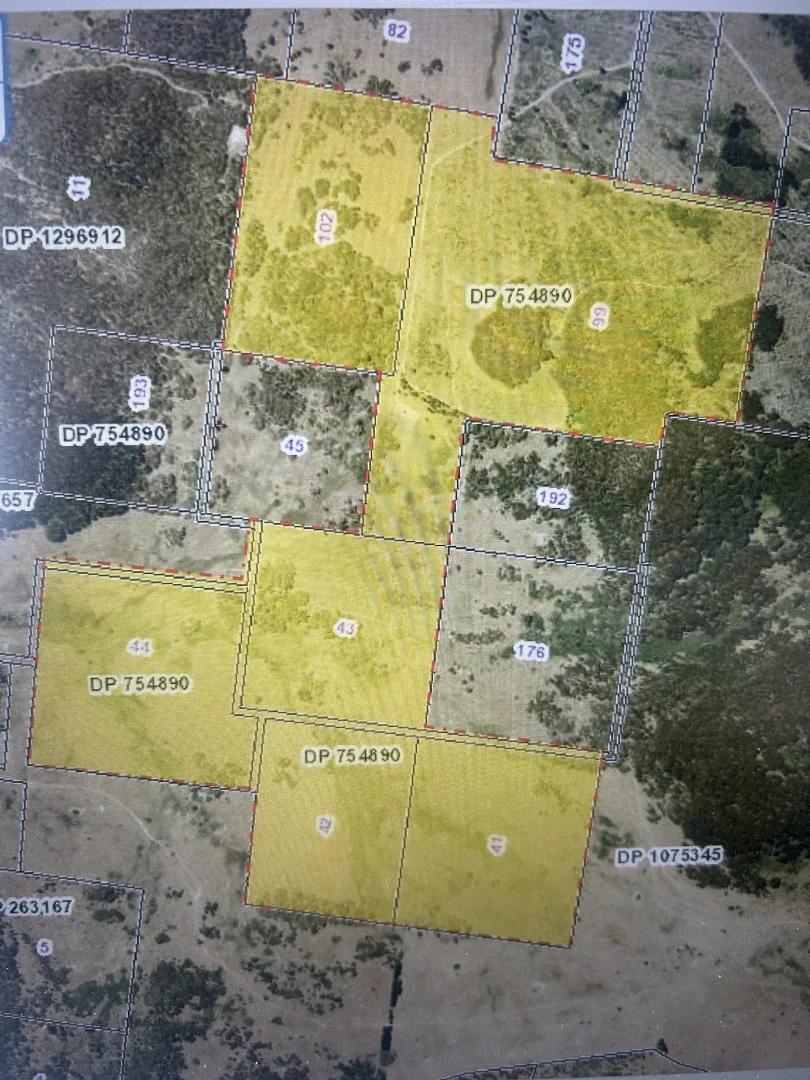 Additional image 18 of 102 Kain Cross Road, Braidwood NSW 2622