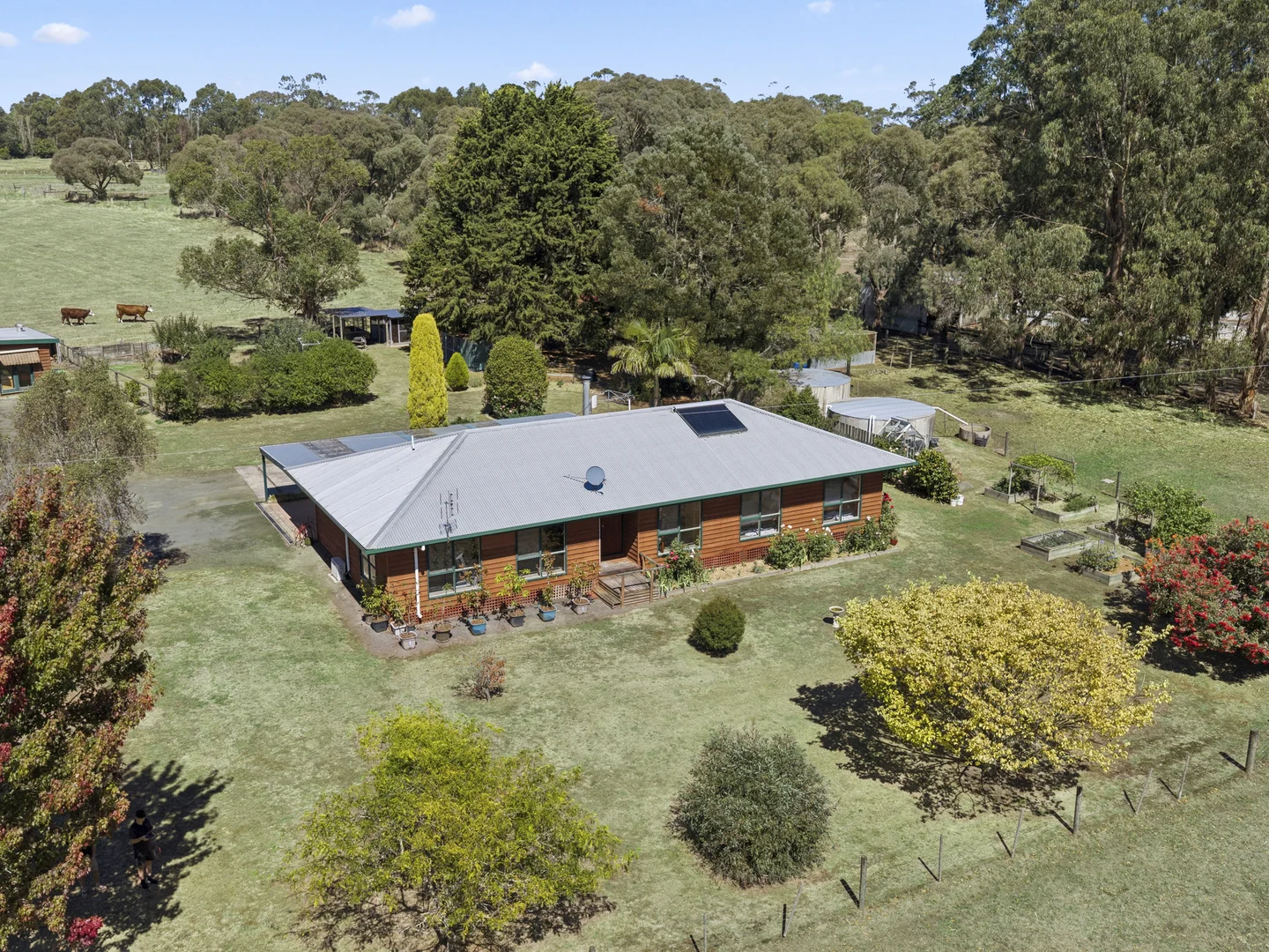 Additional image 3 of 1310 Colac - Forrest Road, Yeodene VIC 3249