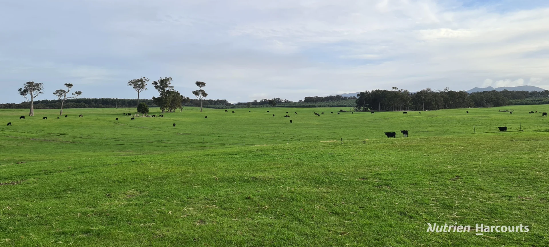 Additional image 4 of 2003 Settlement Road, Napier WA 6330