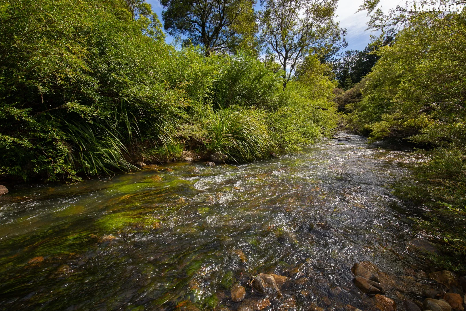 Additional image 25 of "King Ranch" 481 Upper Bobo Road, Coffs Harbour NSW 2450