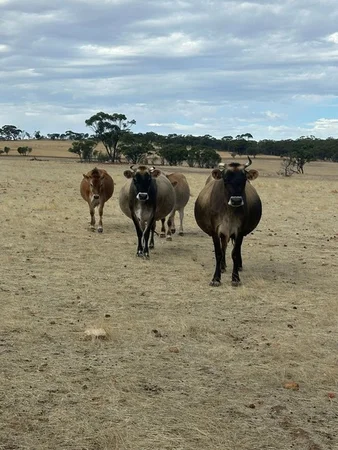 Additional image 12 of 2130 Long Forrest Road, Mumberkine WA 6401