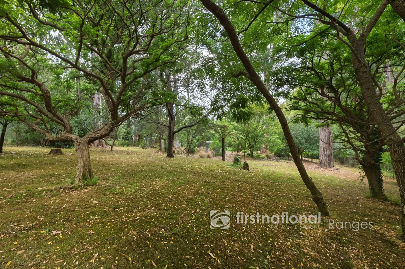 Additional image 3 of 210 Gembrook Road, Gembrook VIC 3783