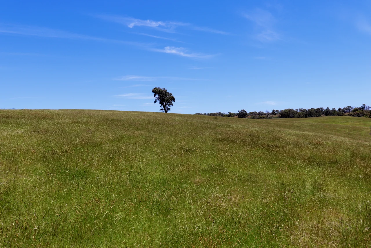 Additional image 7 of 13, 13A, 13B, 31A &, BRIDGE ROAD, Grenville VIC 3352