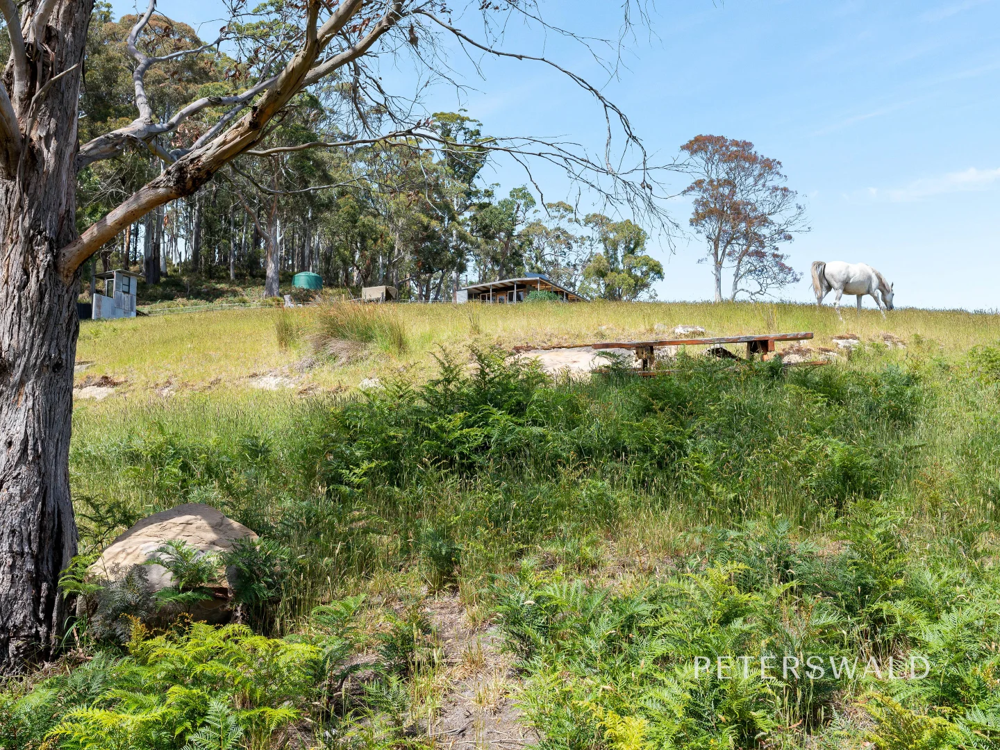 Additional image 39 of 109 Jones Road, Premaydena TAS 7185