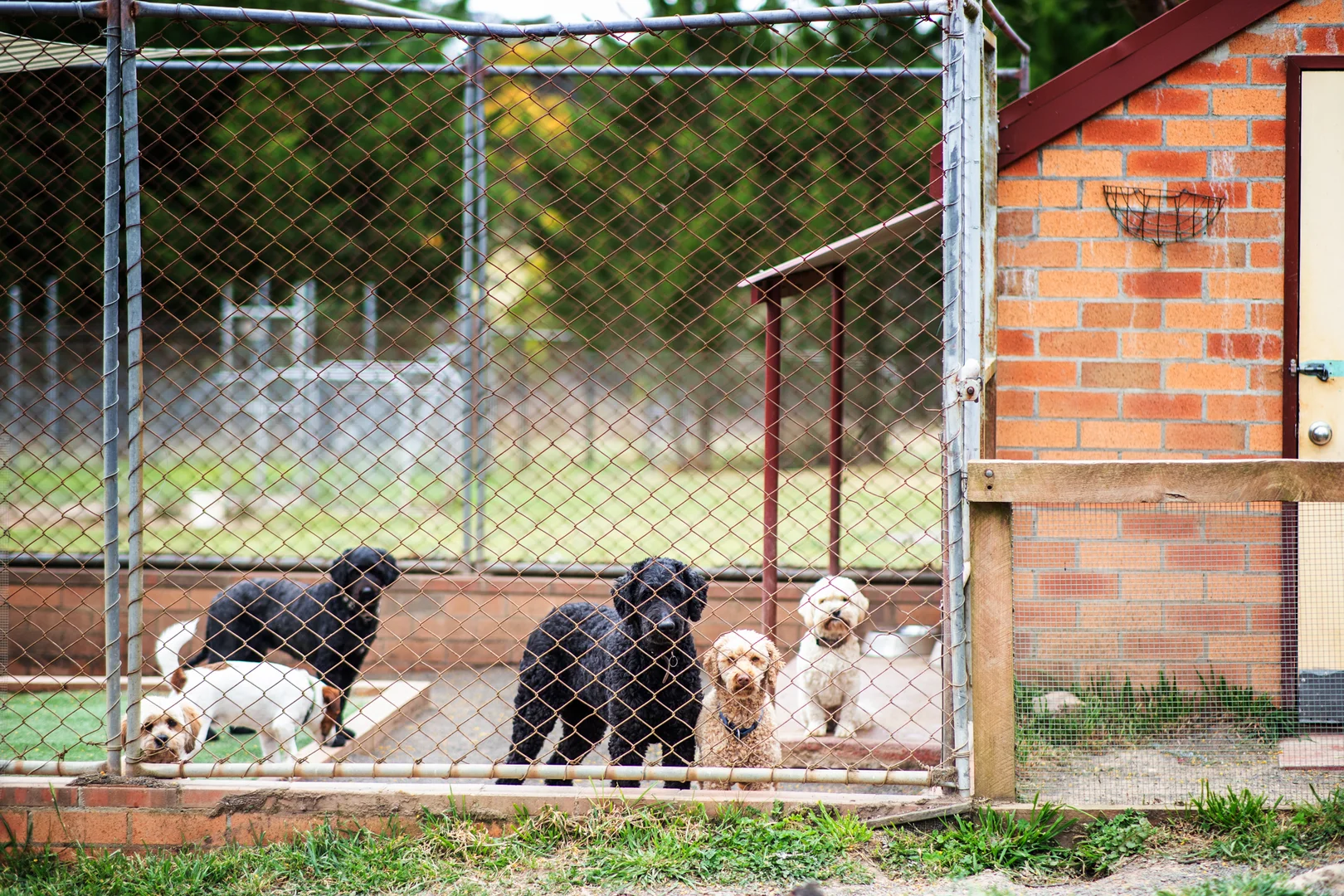 Additional image 38 of 297 Burden Drive, Oallen NSW 2622