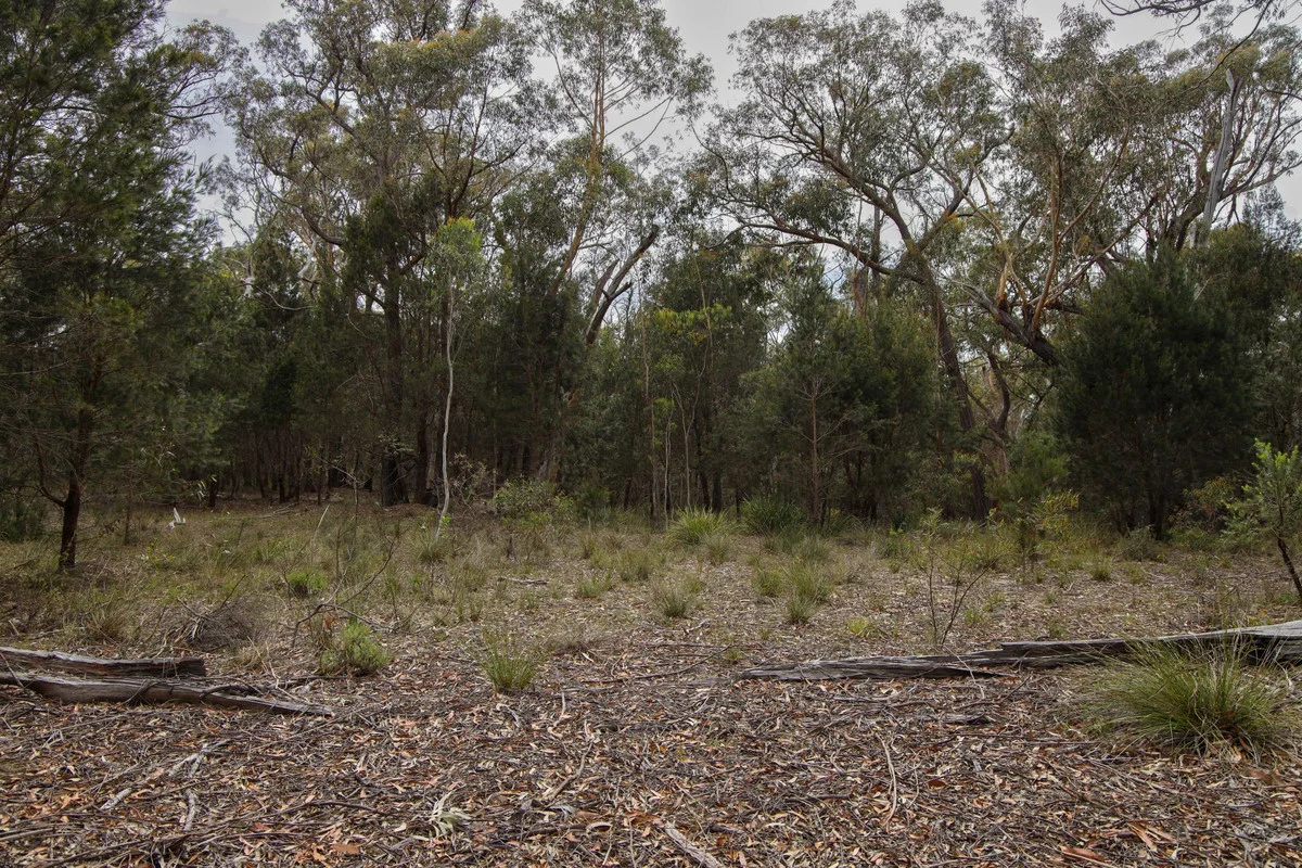 Additional image 7 of 1887 Oallen Ford Road, Oallen NSW 2622