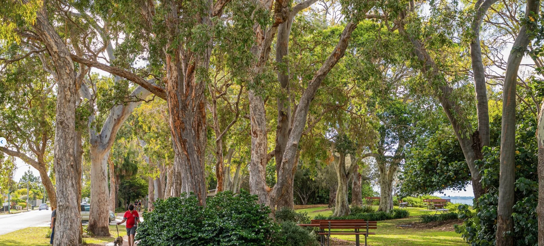 Additional image 14 of Urangan QLD 4655