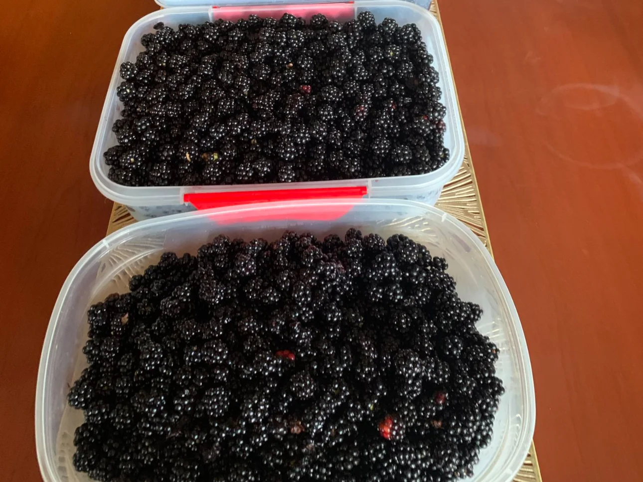 Additional image 13 of Tomboye NSW 2622