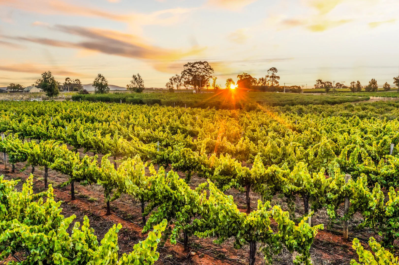 Additional image 18 of 95 Eurunderee Lane, Mudgee NSW 2850