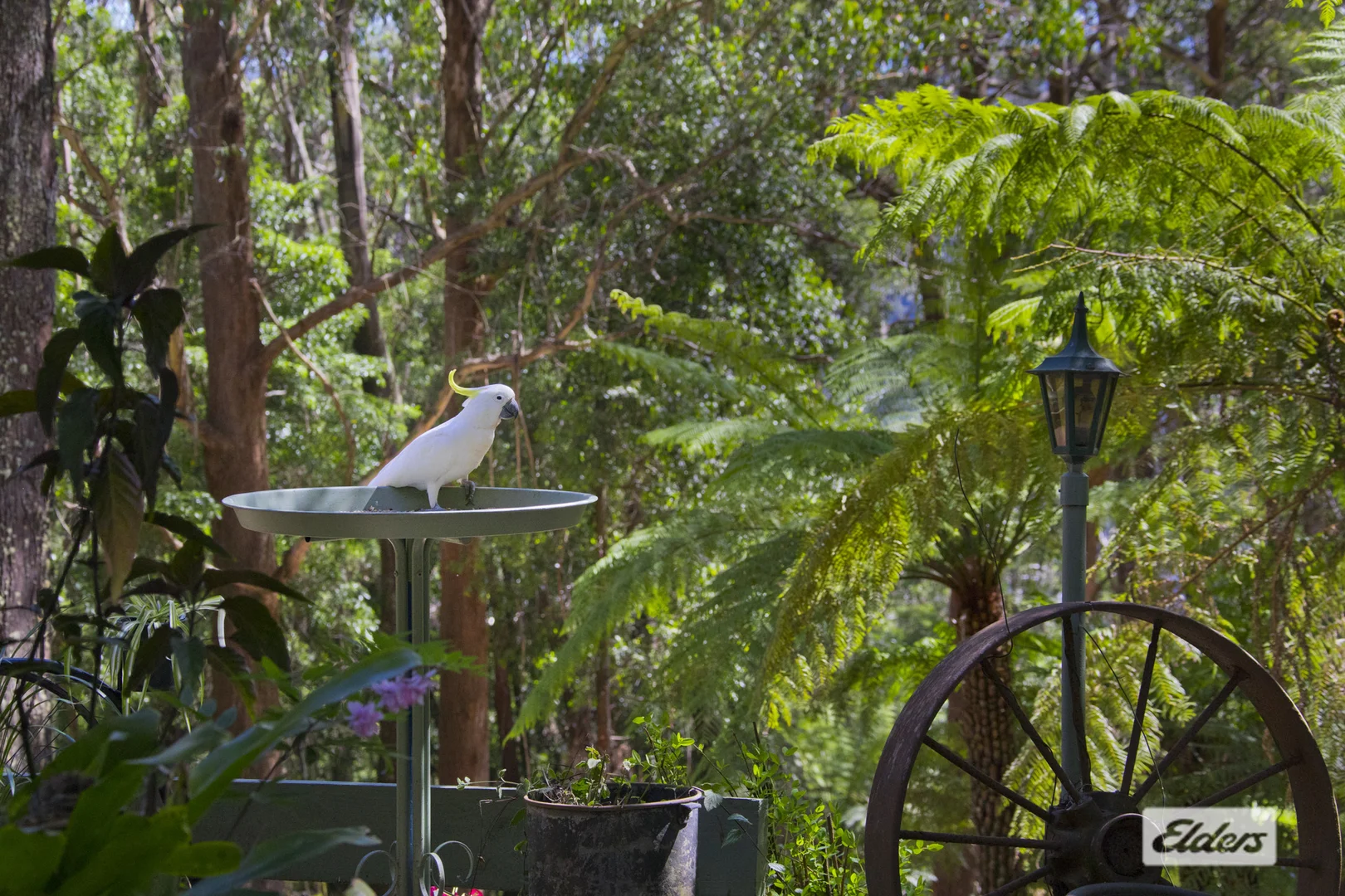 Additional image 14 of 948 Jamberoo Mountain Road, Jamberoo NSW 2533