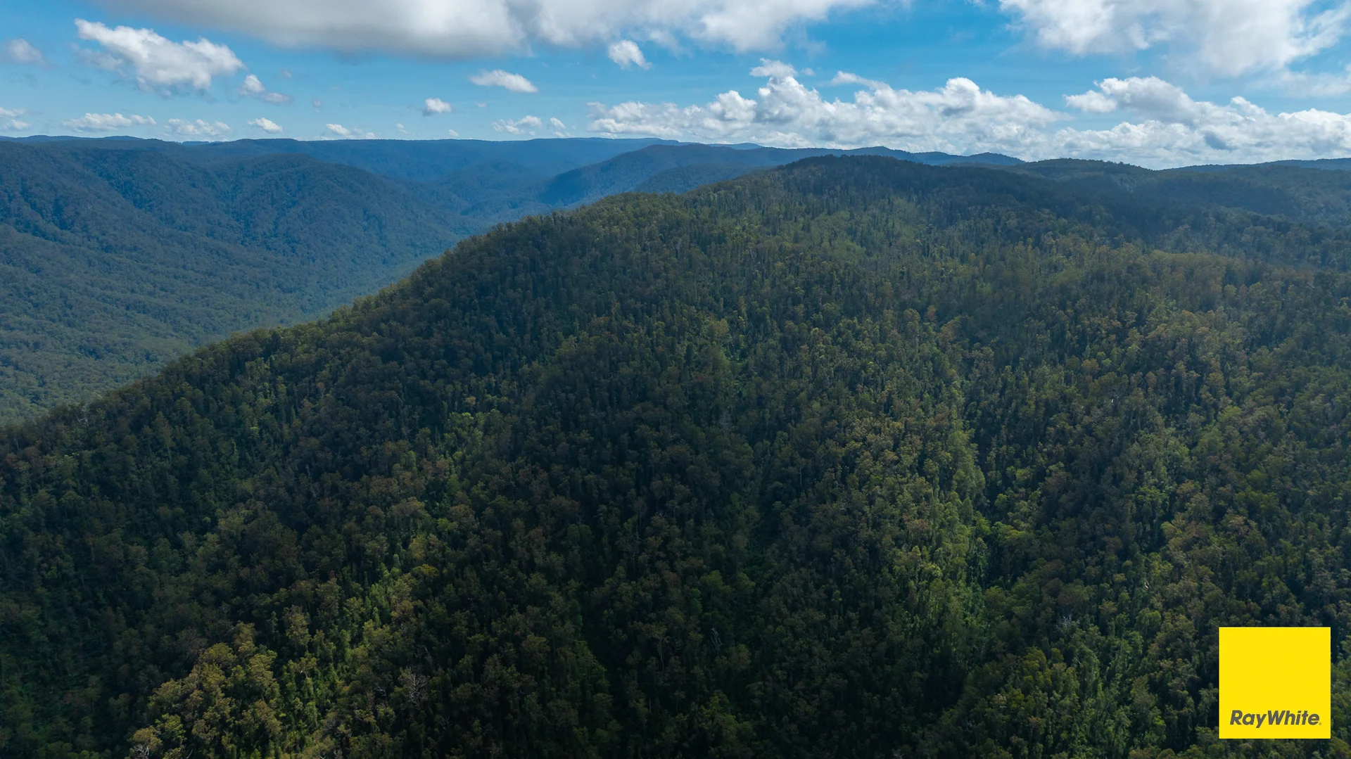 Additional image 19 of Lower Creek NSW 2440